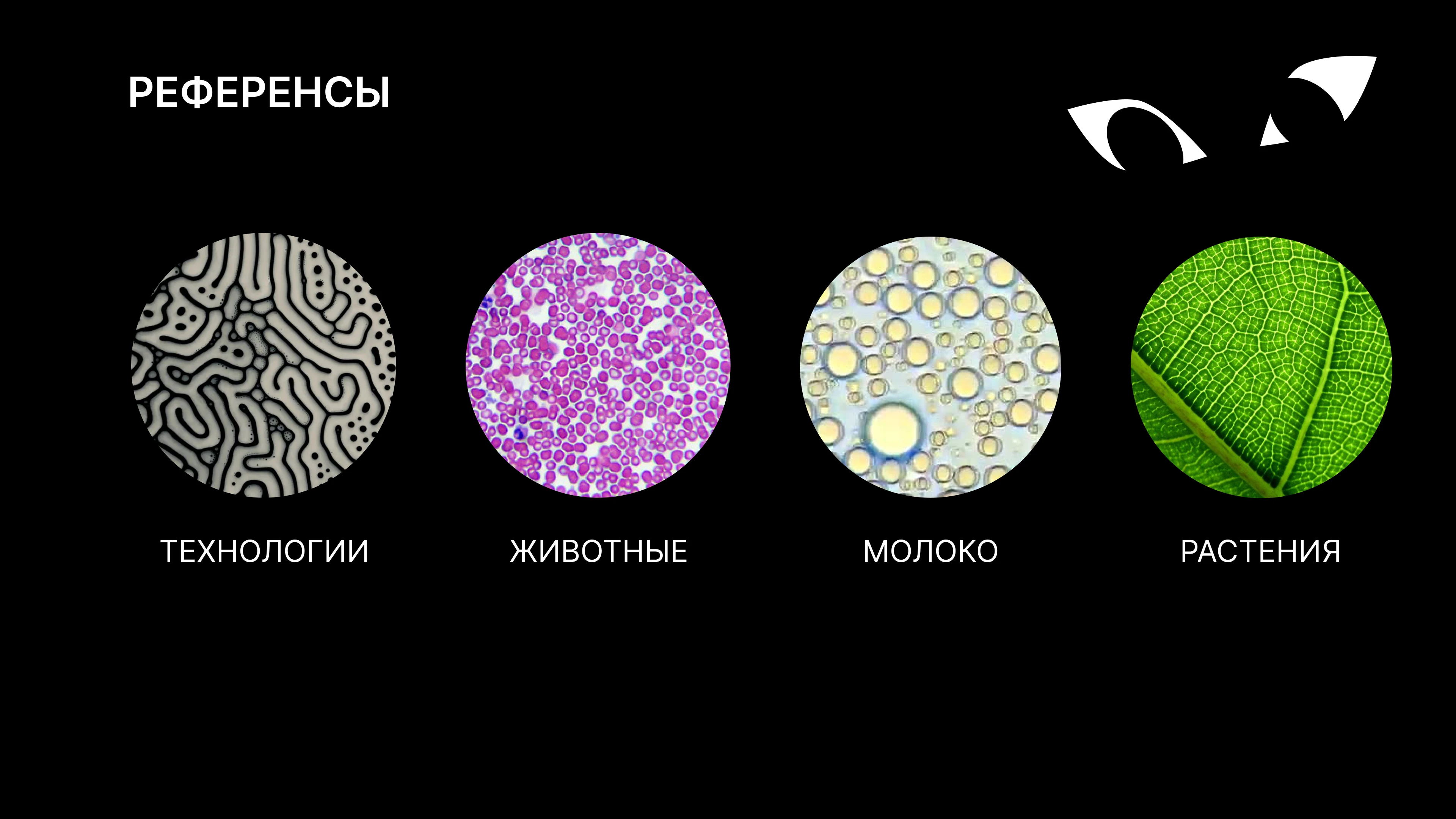 Мерч для ЭкоНива-АПК Холдинг — Изображение №4 — Брендинг на Dprofile