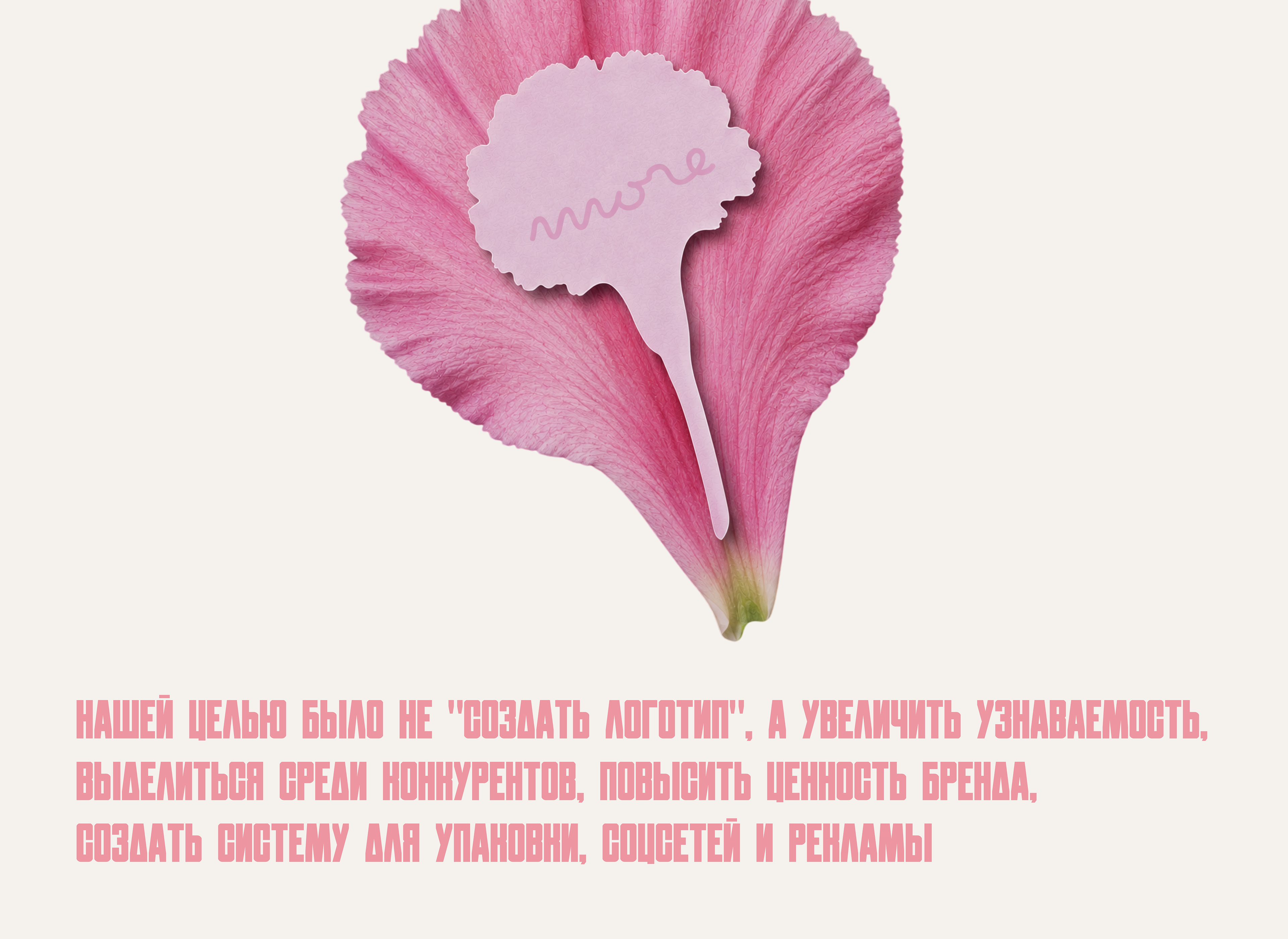 Ребрендинг для цветочного магазина — Изображение №3 — Брендинг на Dprofile
