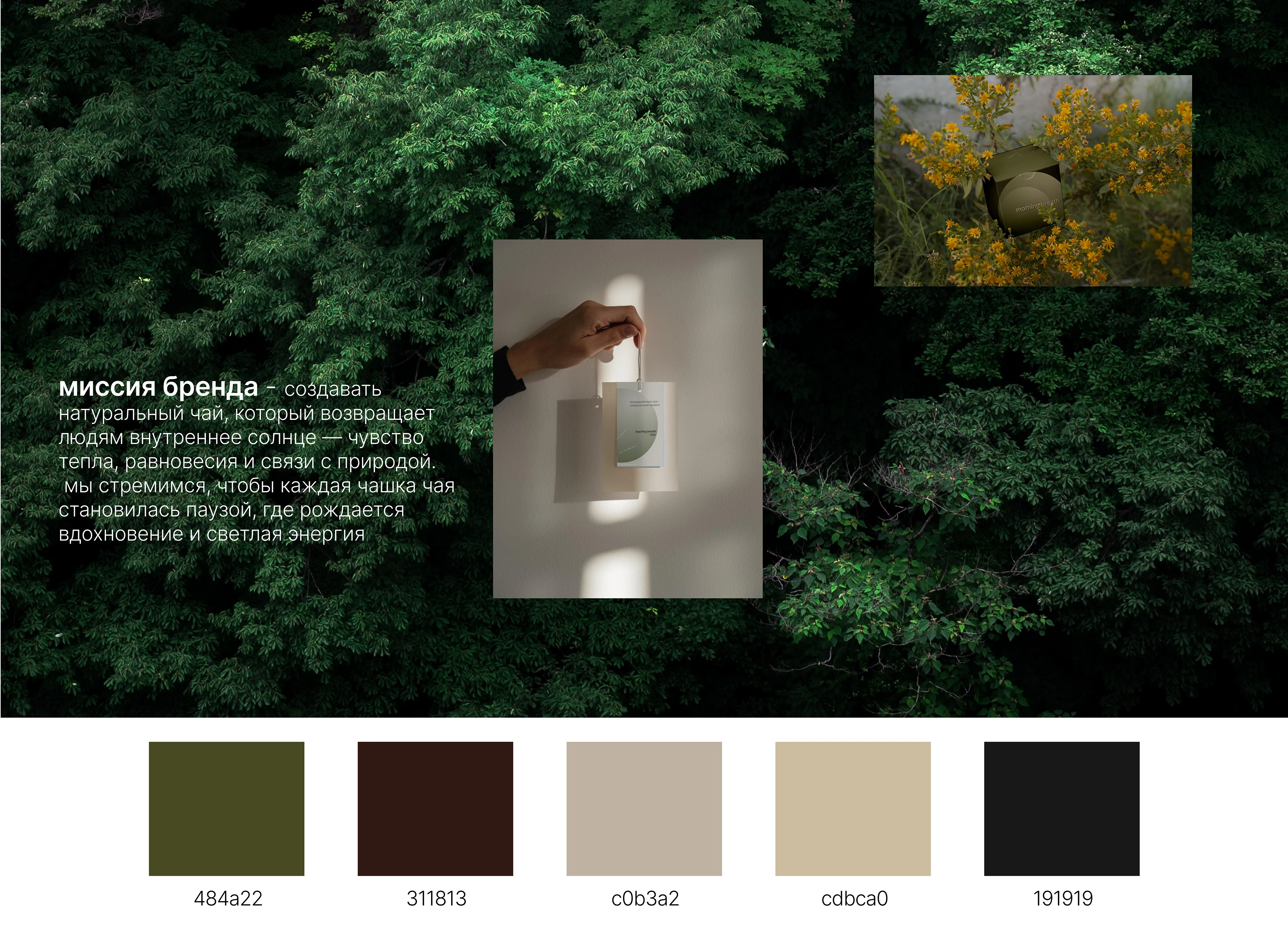 логотип и фирменный стиль для бренда чая — Изображение №2 — Брендинг на Dprofile