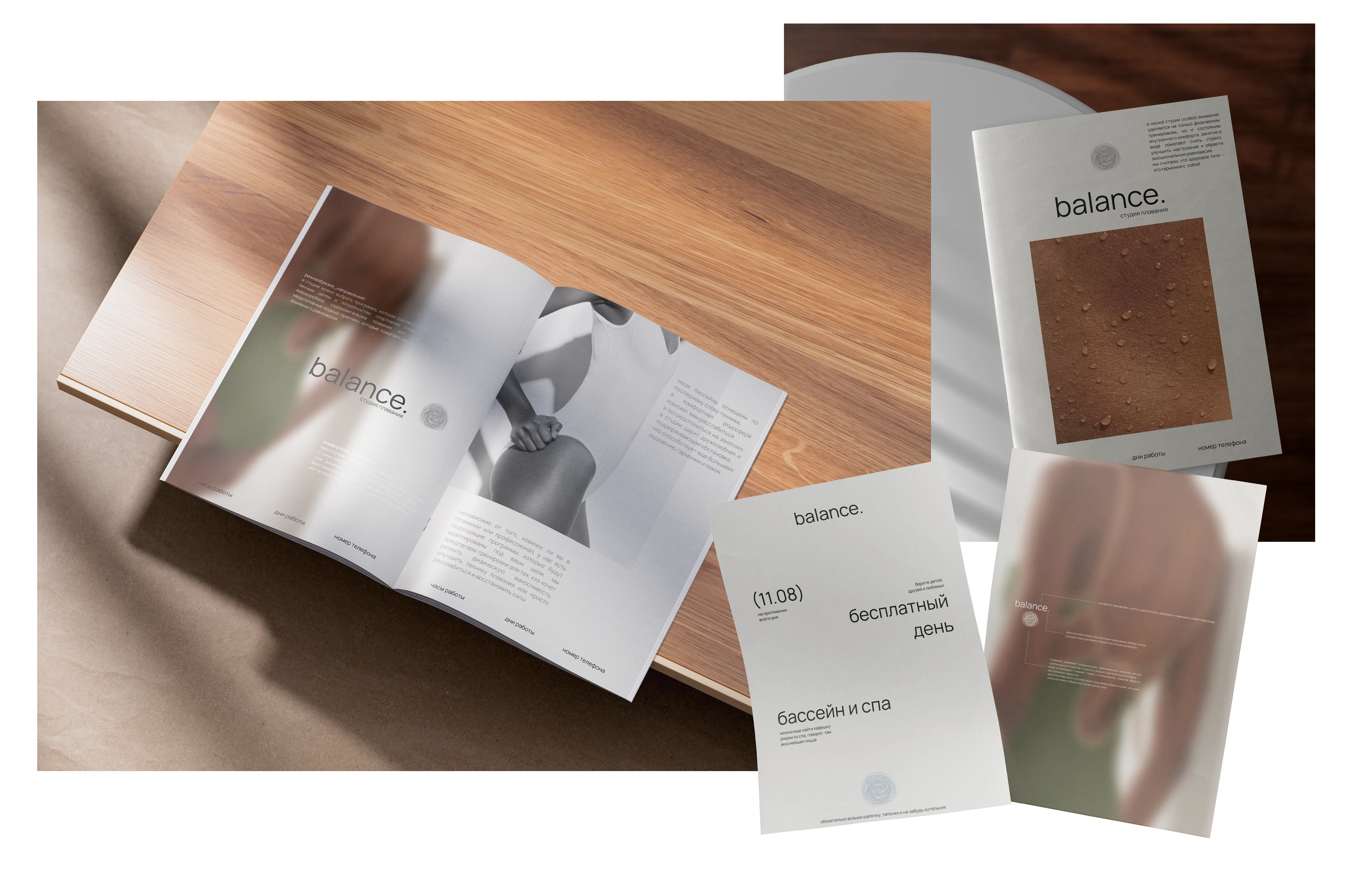 Портфолио/Резюме графический дизайнер — Изображение №7 — Интерфейсы, Брендинг на Dprofile