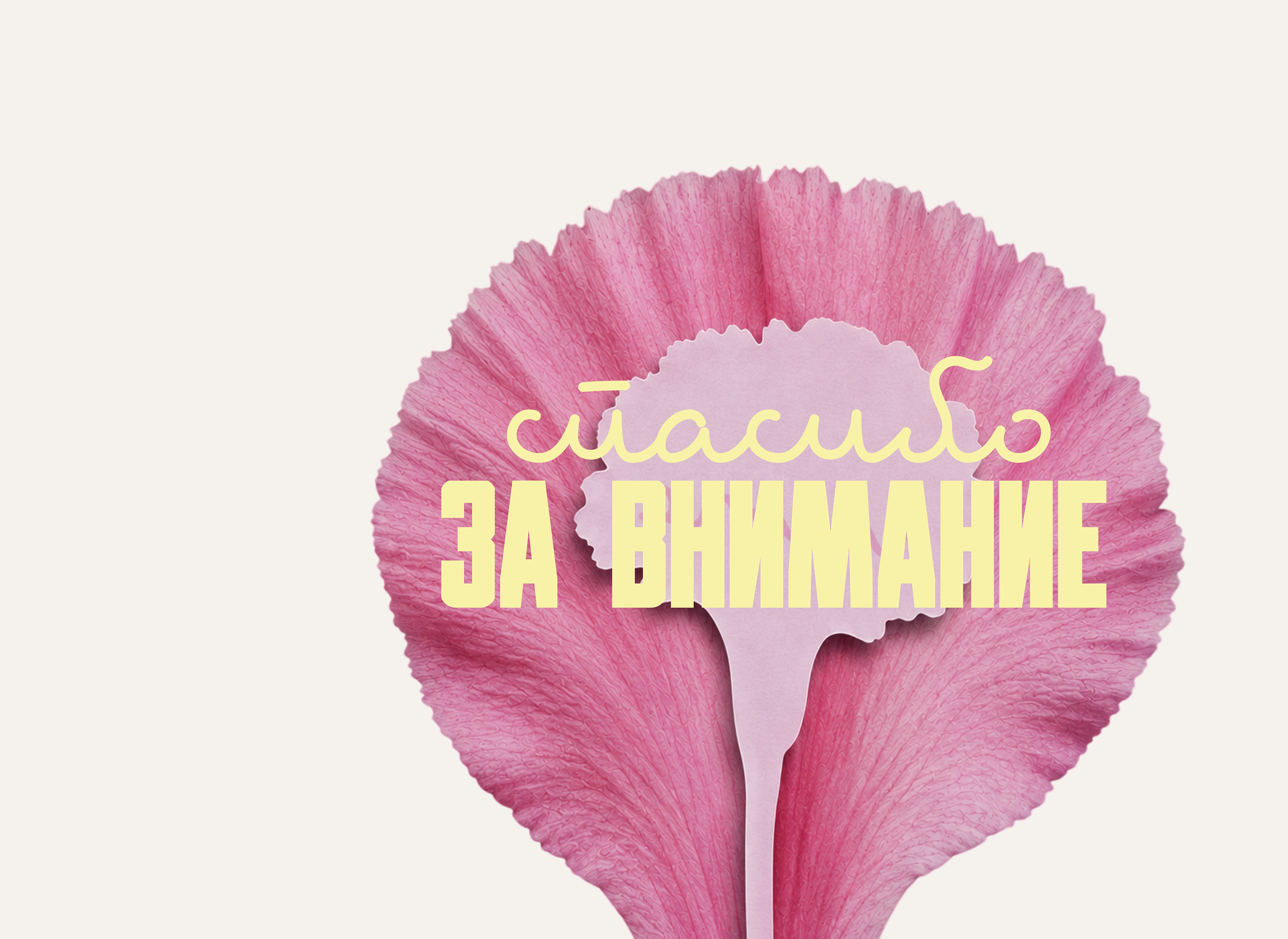 Ребрендинг для цветочного магазина — Изображение №7 — Брендинг на Dprofile
