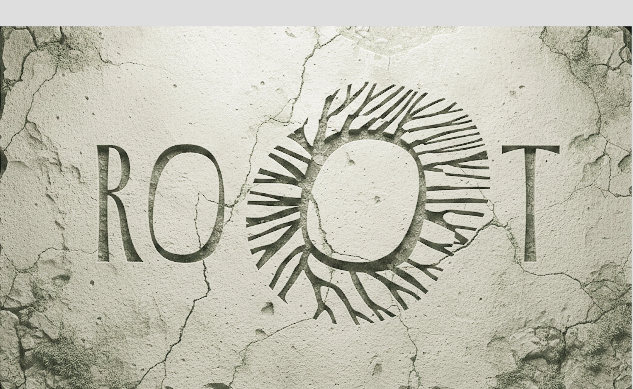 Айдентика бренда ROOT — Изображение №7 — Брендинг на Dprofile