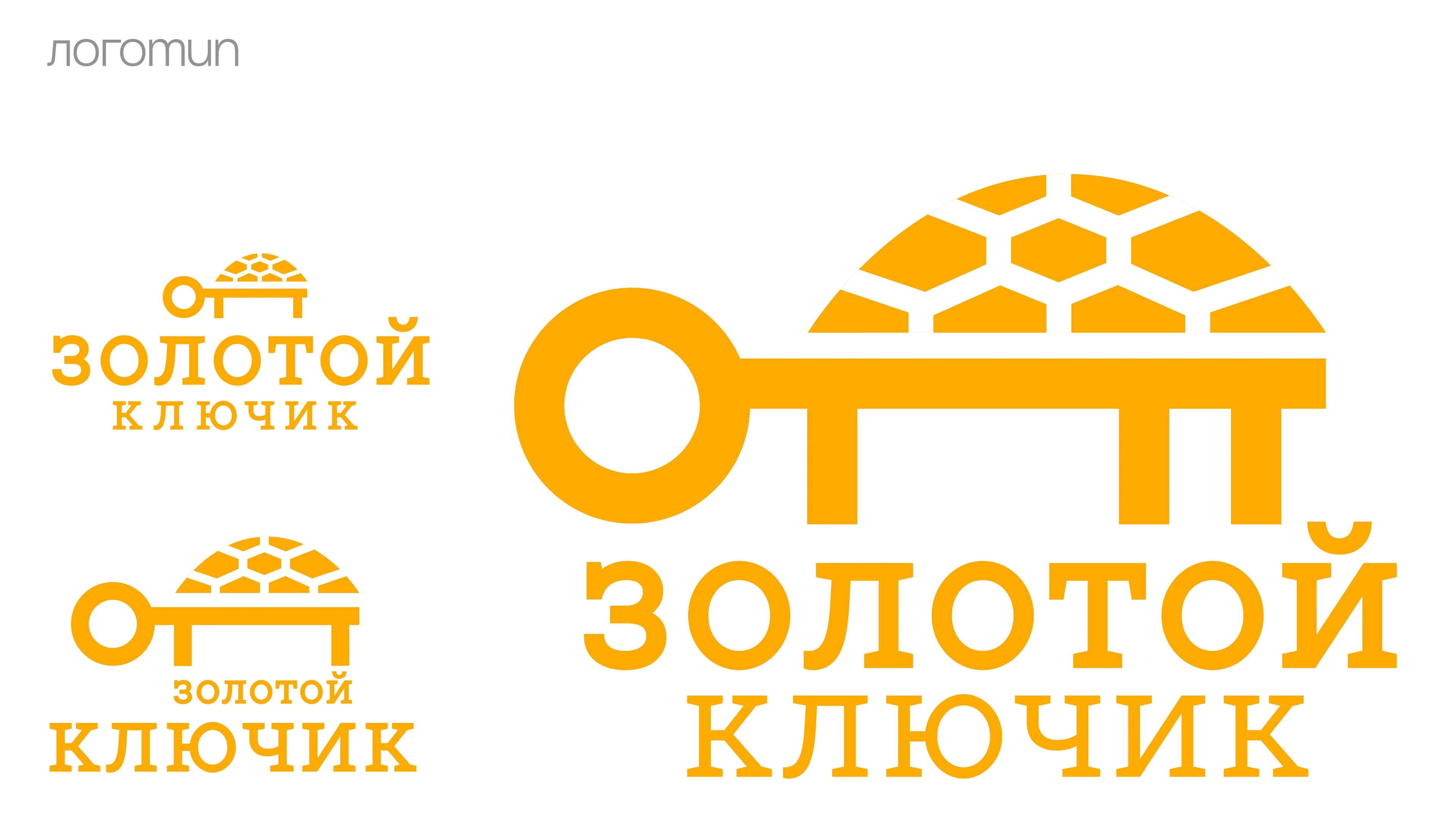 Дизайн логотипа для компании-производителя черепахового супа "Золотой ключик" — Изображение №3 — Брендинг, Промдизайн на Dprofile