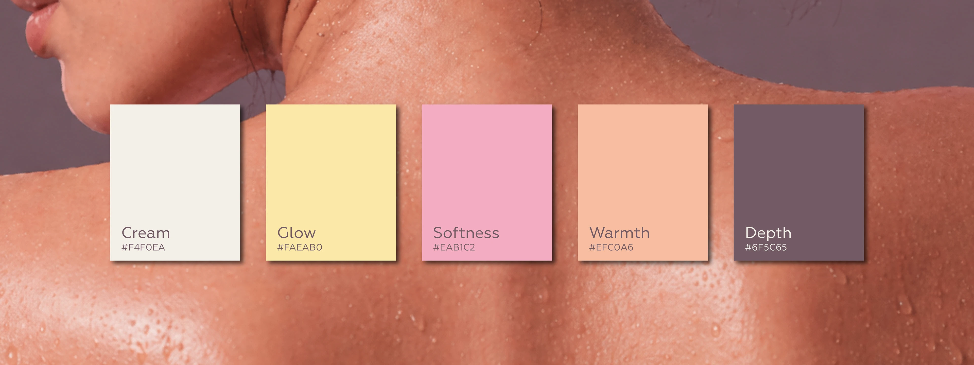 Solena — Skincare Brand Identity — Изображение №5 — Брендинг на Dprofile