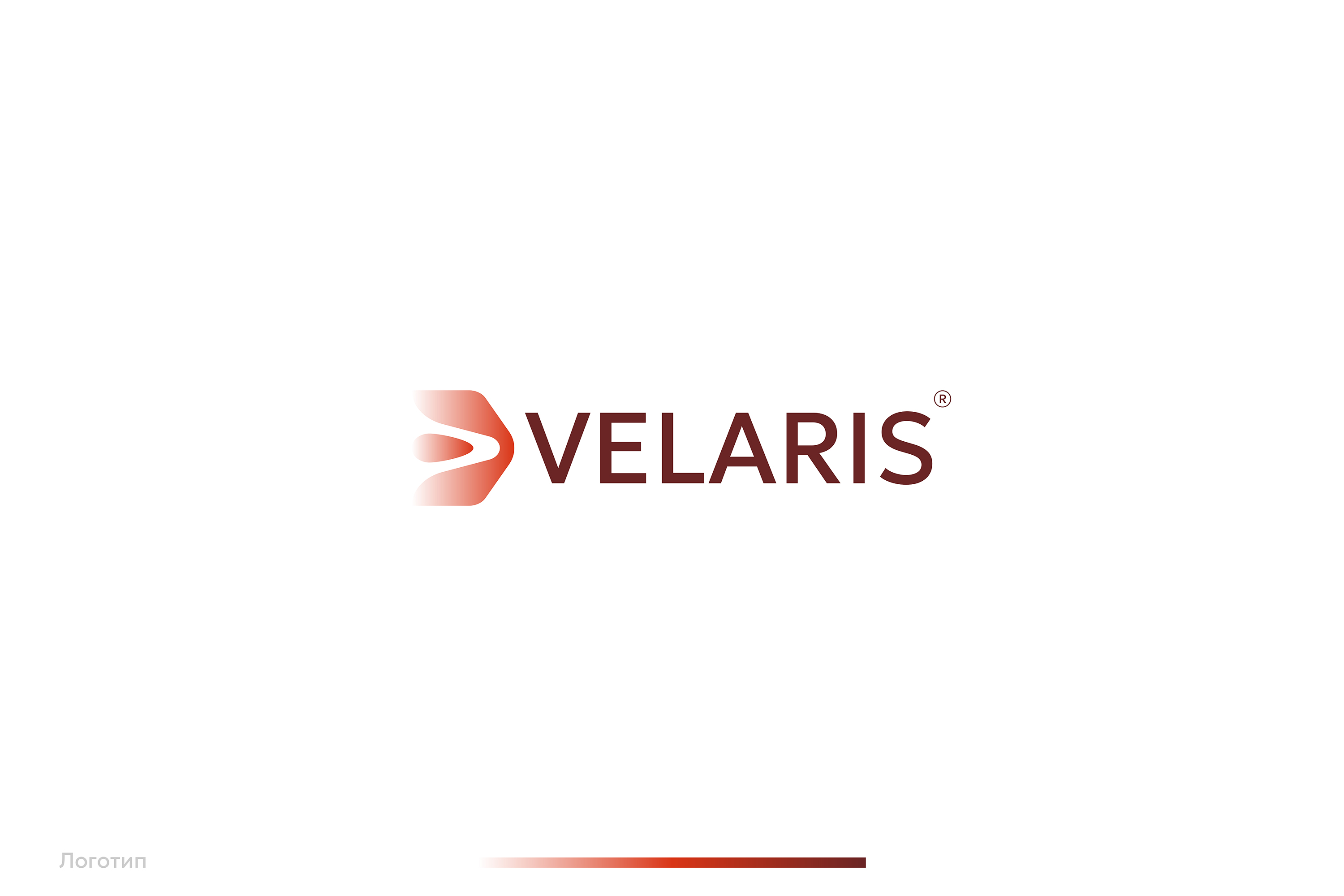 VELARIS | Логотип, айдентика и упаковка — Изображение №3 — Брендинг на Dprofile