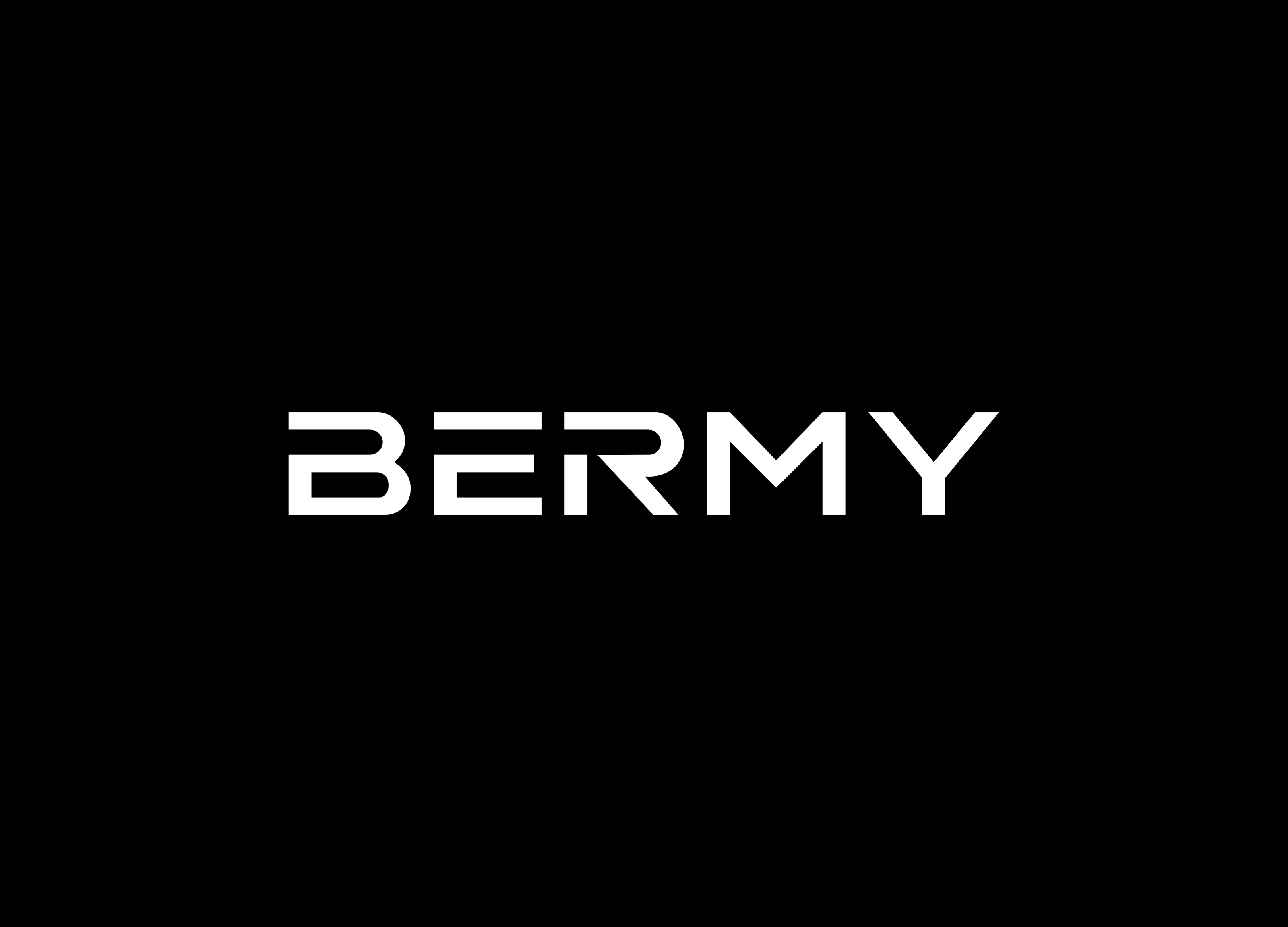 BERMY | Логотип/Айдентика/Упаковка — Изображение №2 — Брендинг на Dprofile
