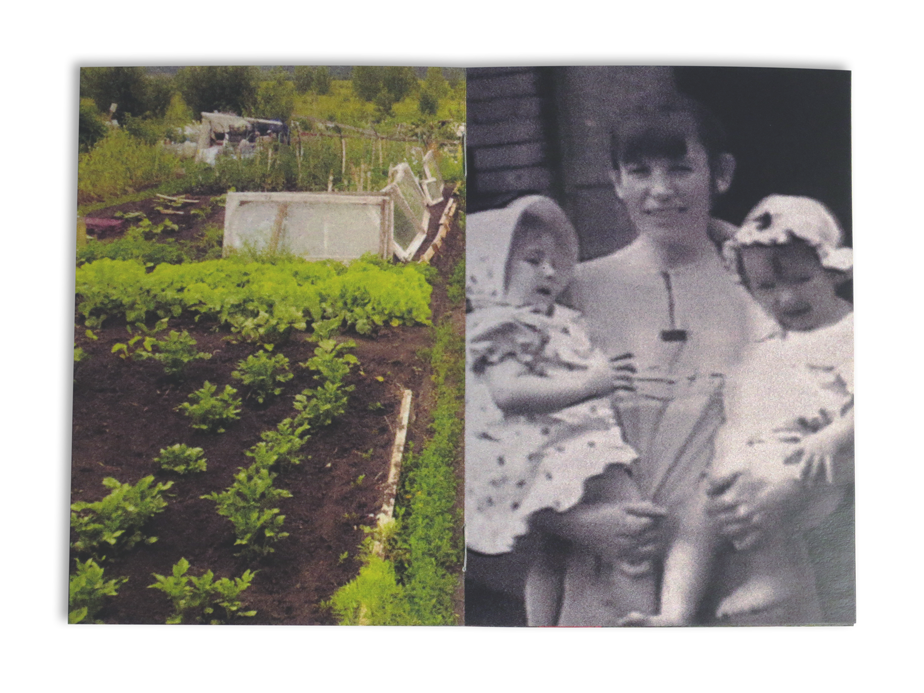 Зин «Летний дом» — Изображение №10 — Графика на Dprofile