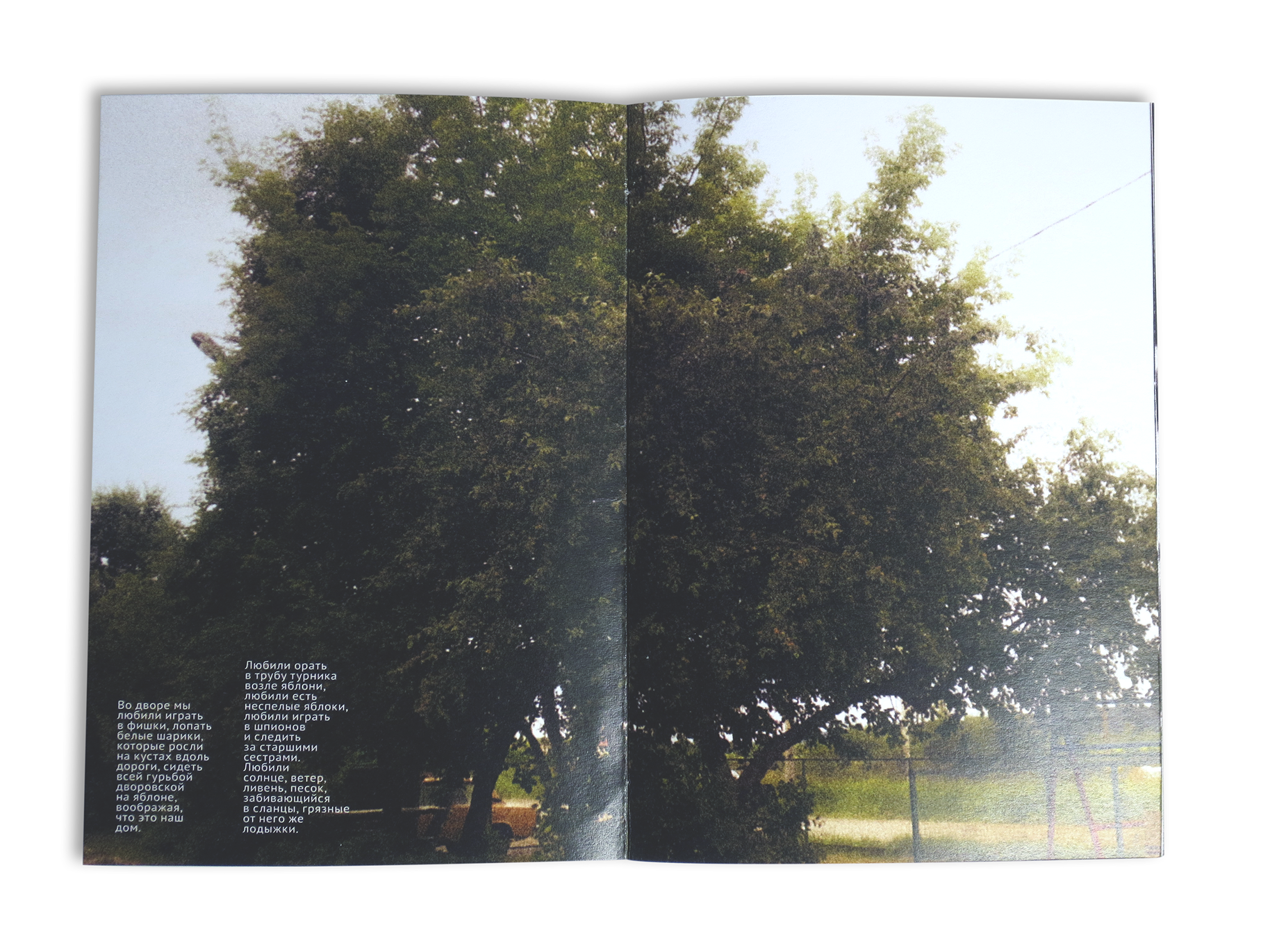 Зин «Летний дом» — Изображение №5 — Графика на Dprofile