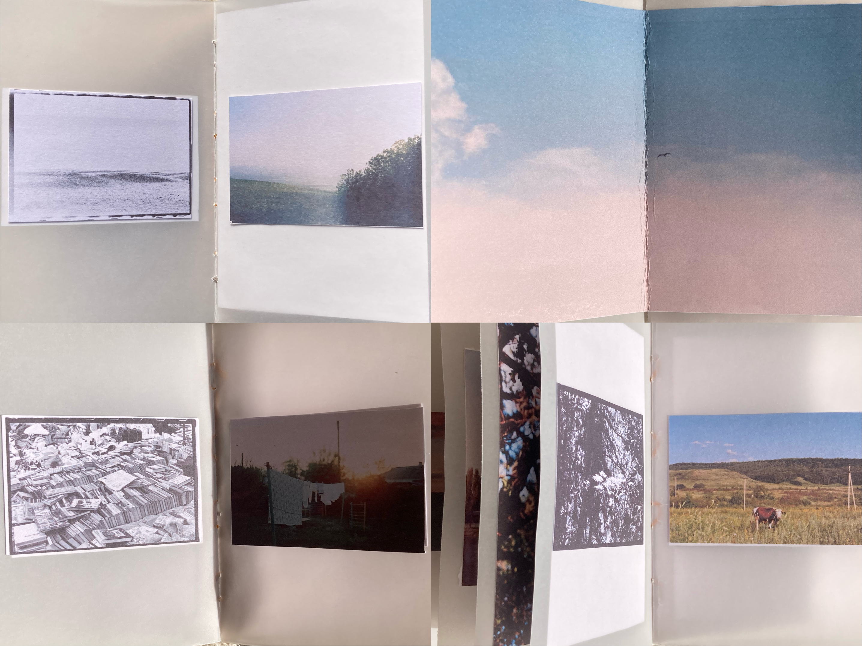 фотозин — Изображение №6 — Графика на Dprofile