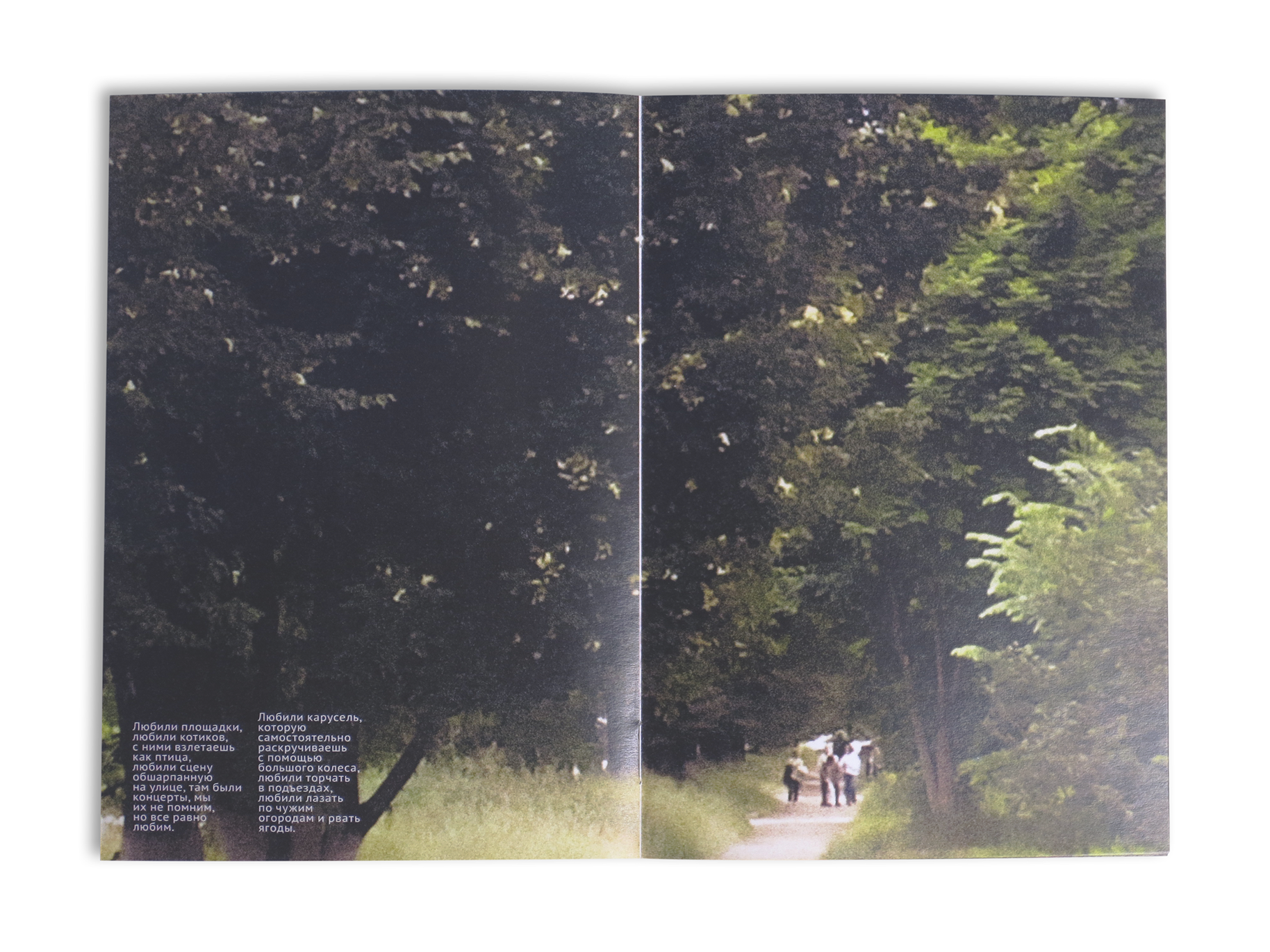 Зин «Летний дом» — Изображение №11 — Графика на Dprofile