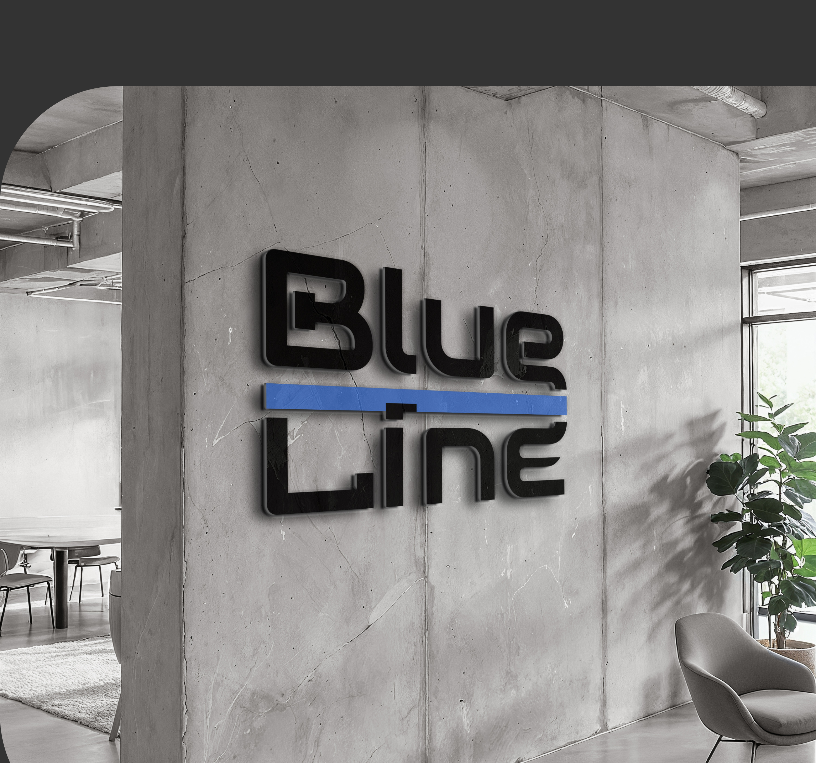 Логотип и продукция для компании "BlueLine", занимающиеся к… — Изображение №8 — Брендинг, Маркетинг на Dprofile