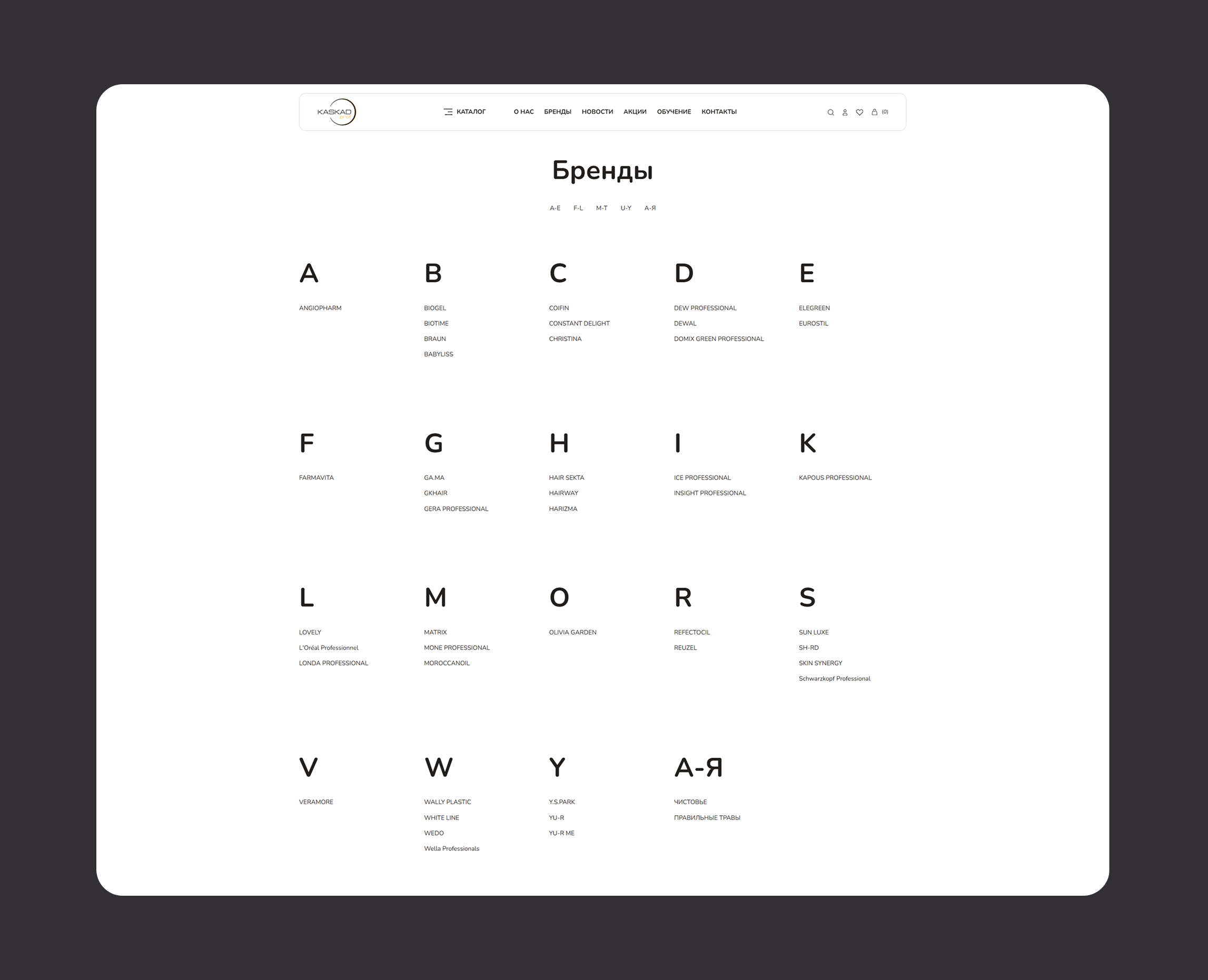 Интернет-магазин KASKAD PROF — Изображение №16 — Интерфейсы на Dprofile