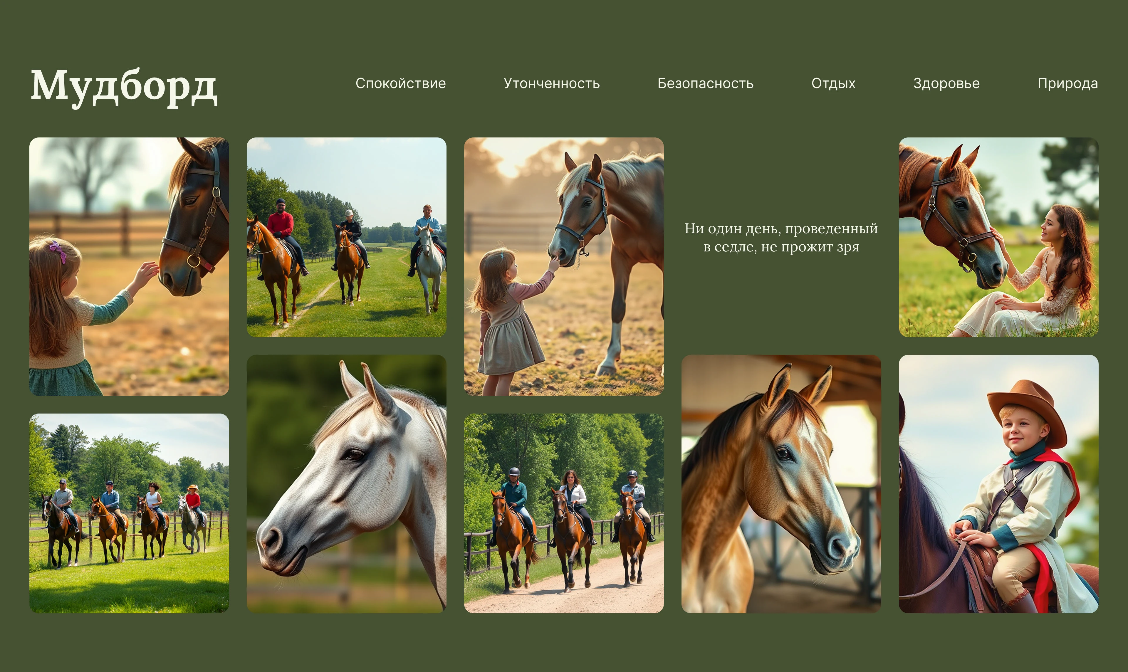 Конный клуб "Гармония галопа" — Изображение №7 — Интерфейсы на Dprofile