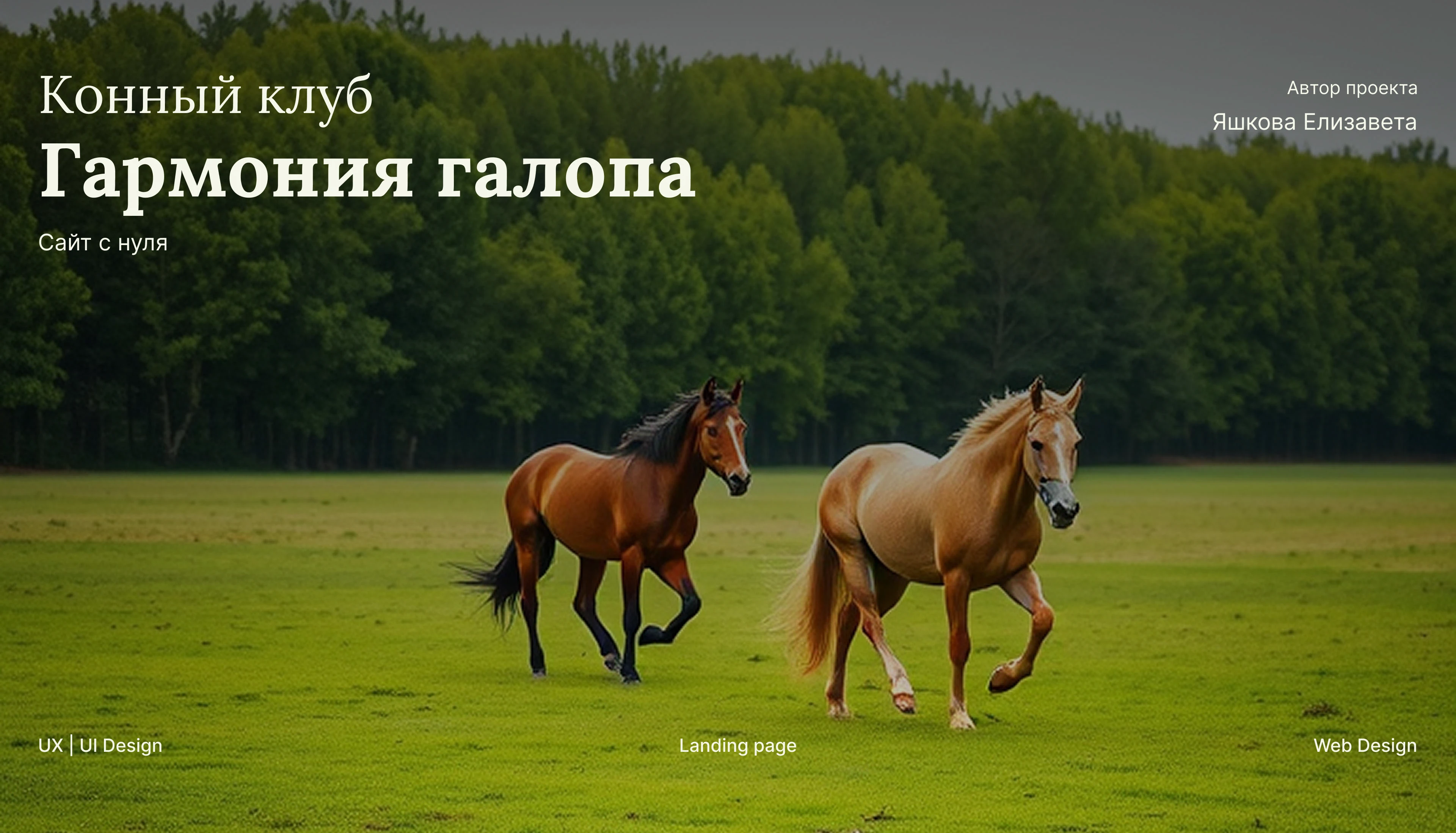 Конный клуб "Гармония галопа" — Изображение №1 — Интерфейсы на Dprofile