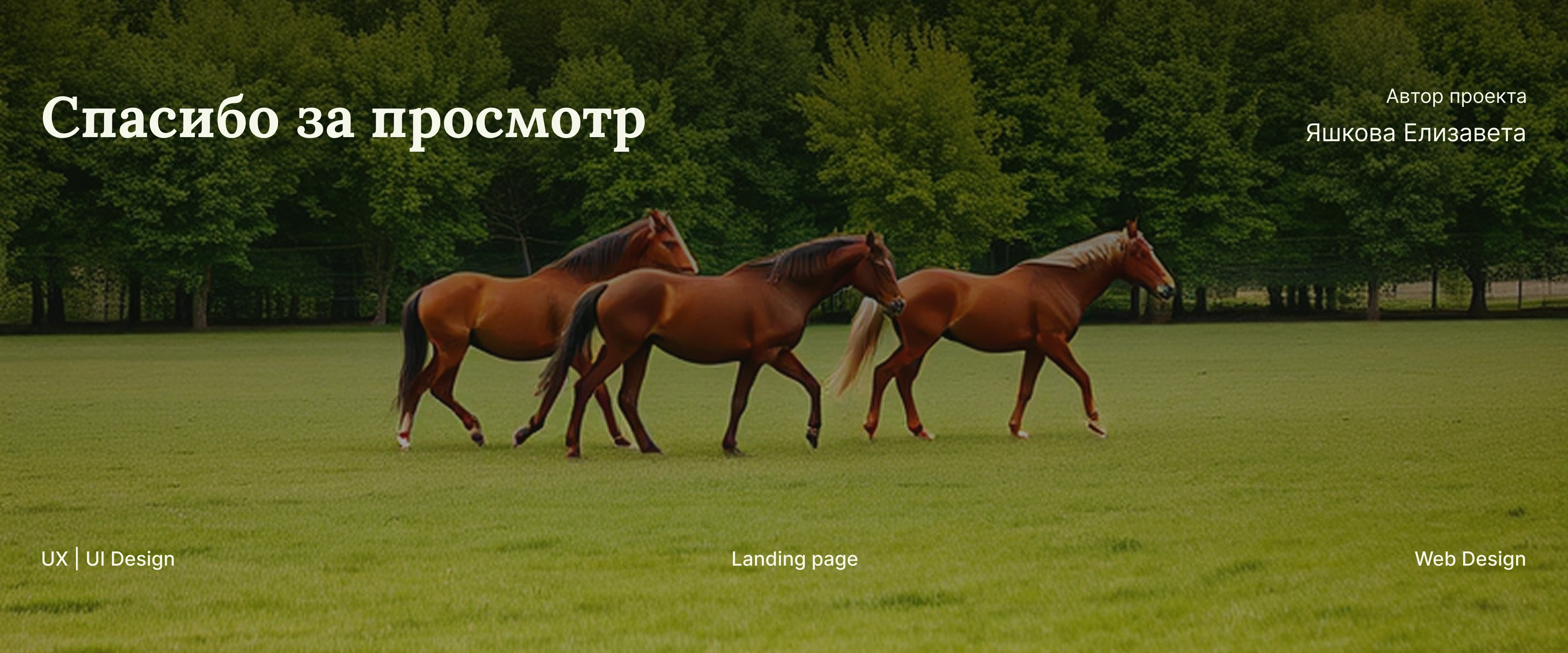 Конный клуб "Гармония галопа" — Изображение №10 — Интерфейсы на Dprofile