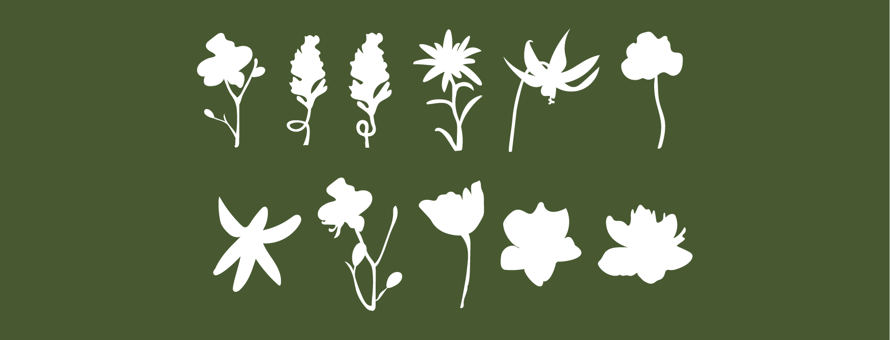 СПА «Алтайская здравница  » — Изображение №7 — Брендинг на Dprofile