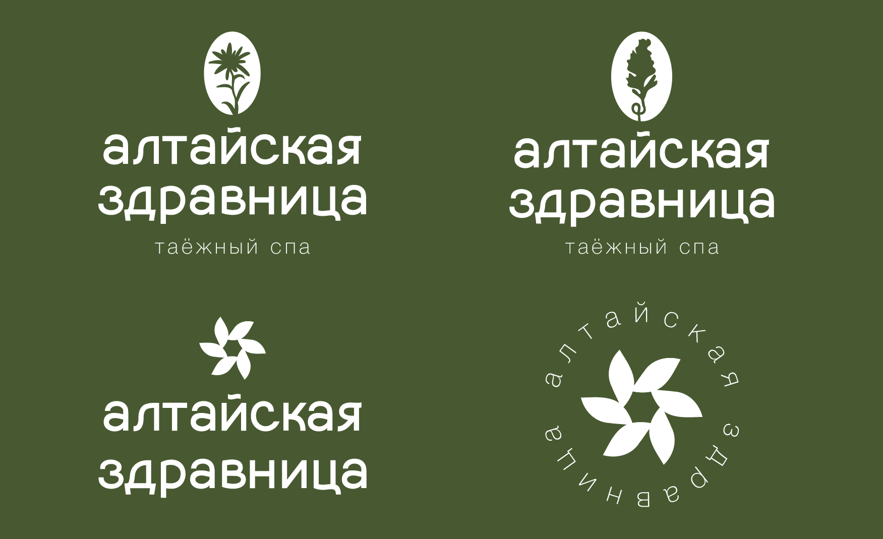 СПА «Алтайская здравница  » — Изображение №8 — Брендинг на Dprofile