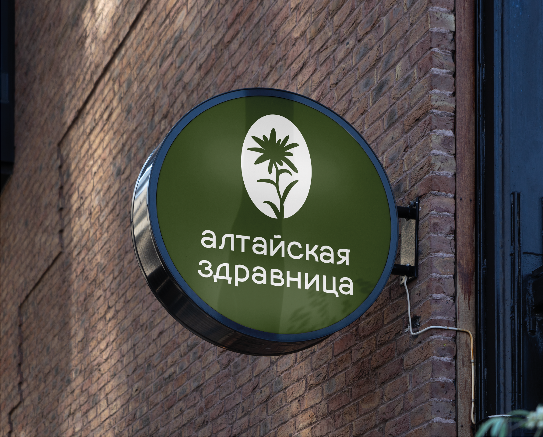 СПА «Алтайская здравница  » — Изображение №9 — Брендинг на Dprofile