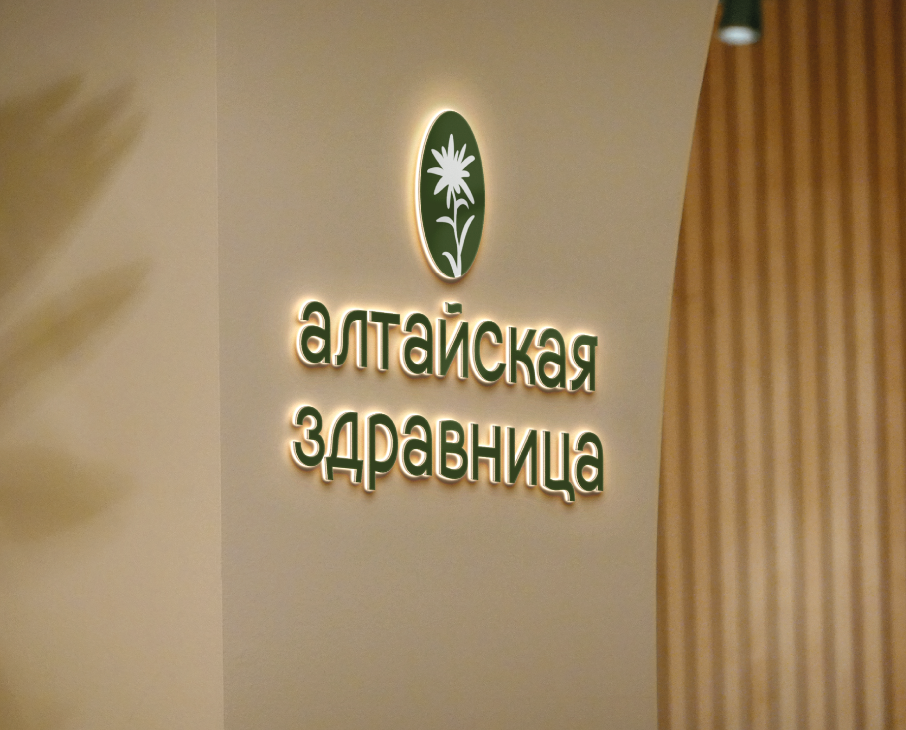 СПА «Алтайская здравница  » — Изображение №10 — Брендинг на Dprofile
