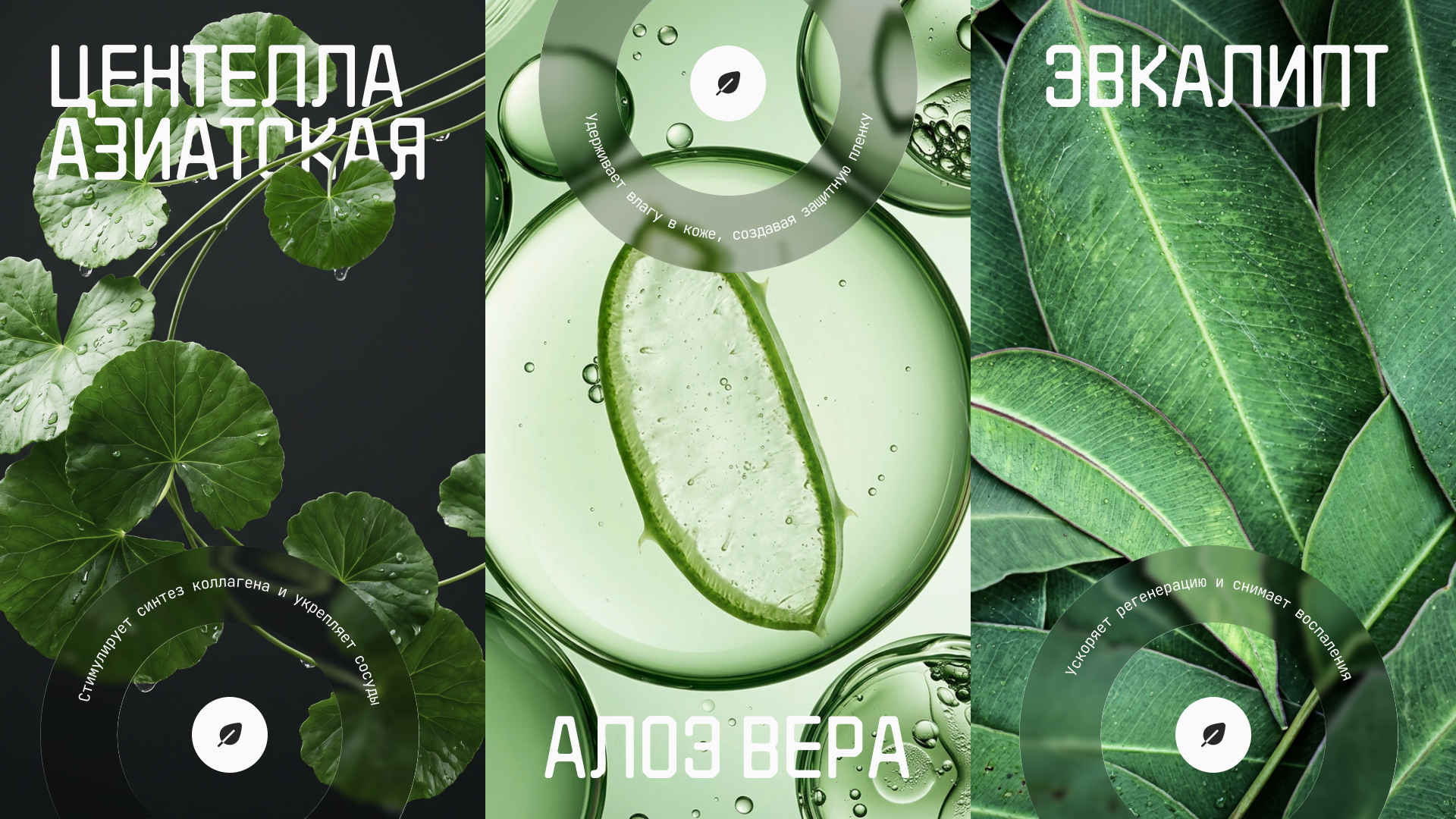 Дизайн | Креативная презентация для бренда уходовой косметики | Уход за кожей — Изображение №5 — Маркетинг на Dprofile