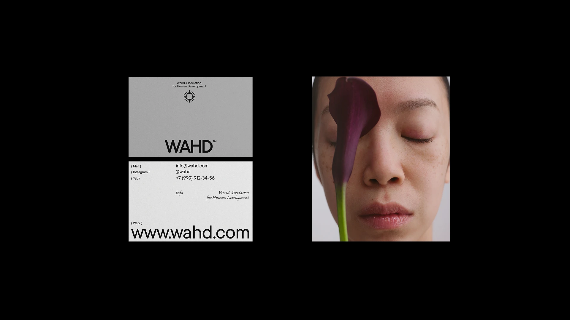 WAHD Accociation — Visual identity — Изображение №2 — Брендинг на Dprofile