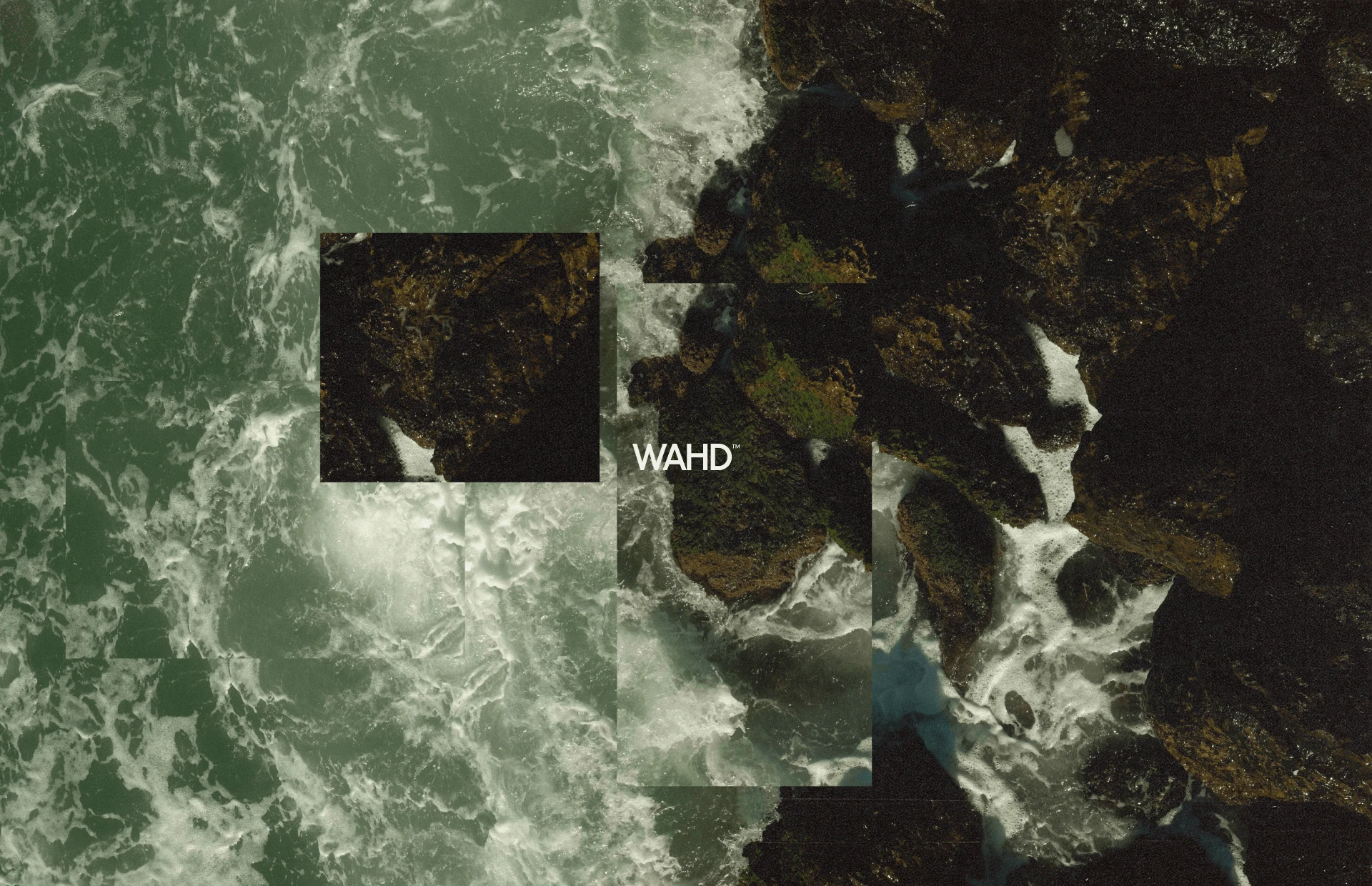 WAHD Accociation — Visual identity — Изображение №10 — Брендинг на Dprofile