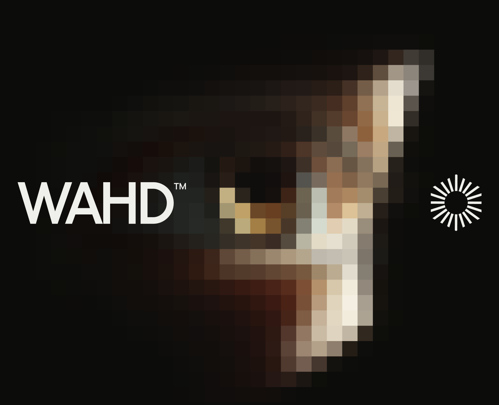 WAHD Accociation — Visual identity — Брендинг на Dprofile