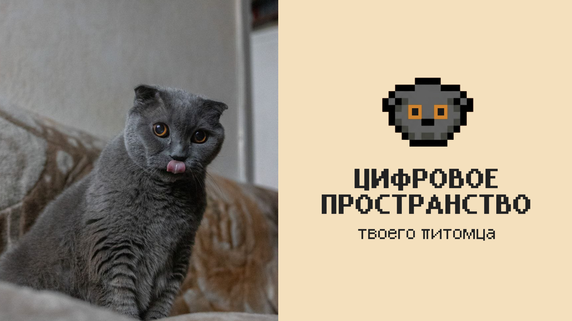 Мини-приложение «Мои питомцы» — Изображение №2 — Интерфейсы на Dprofile