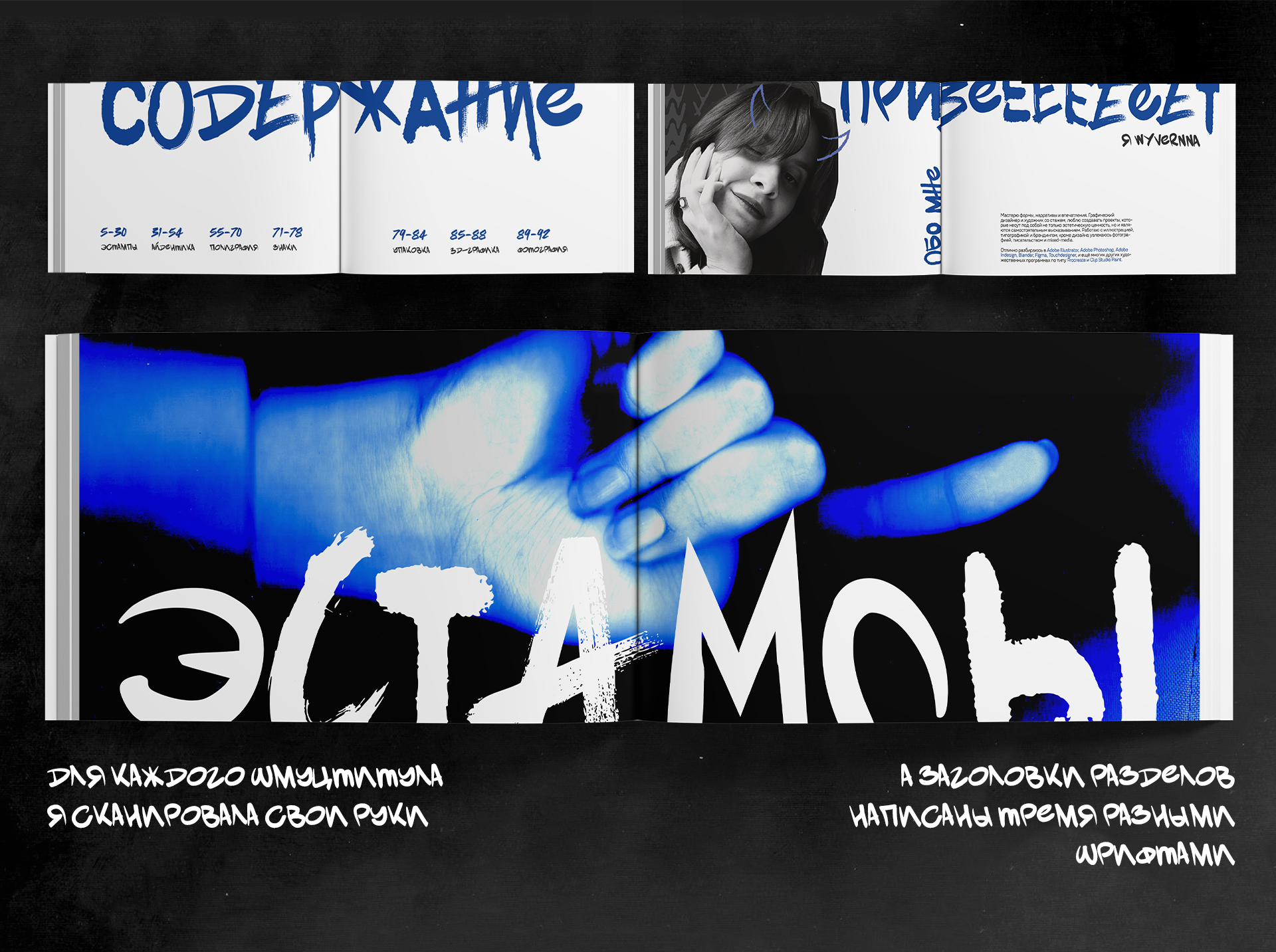 Портфолио — Изображение №2 — Брендинг, Графика на Dprofile