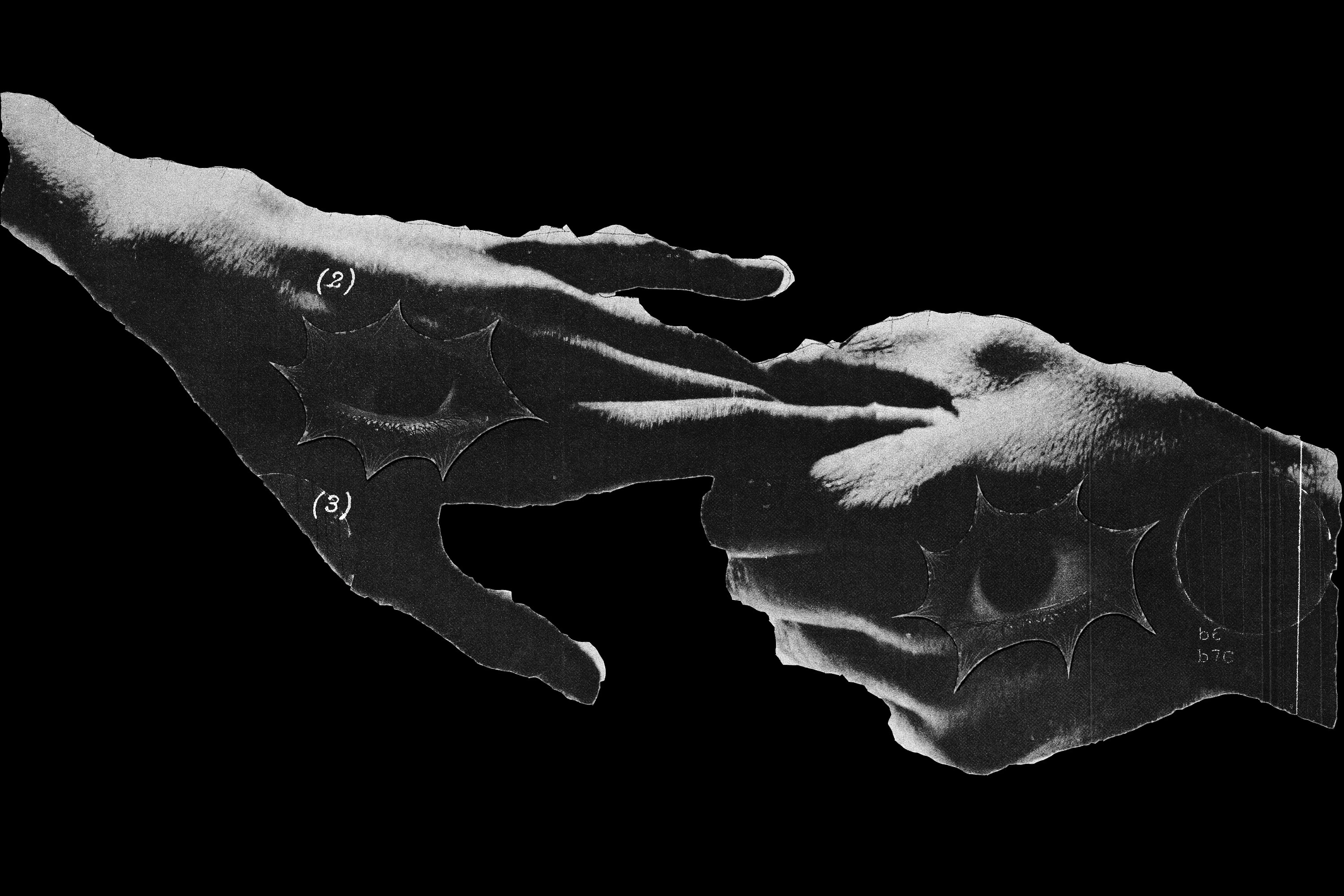 ДО ВСТРЕЧИ ( дизайн постера и принтов для одежды) — Изображение №2 — Брендинг, Графика на Dprofile