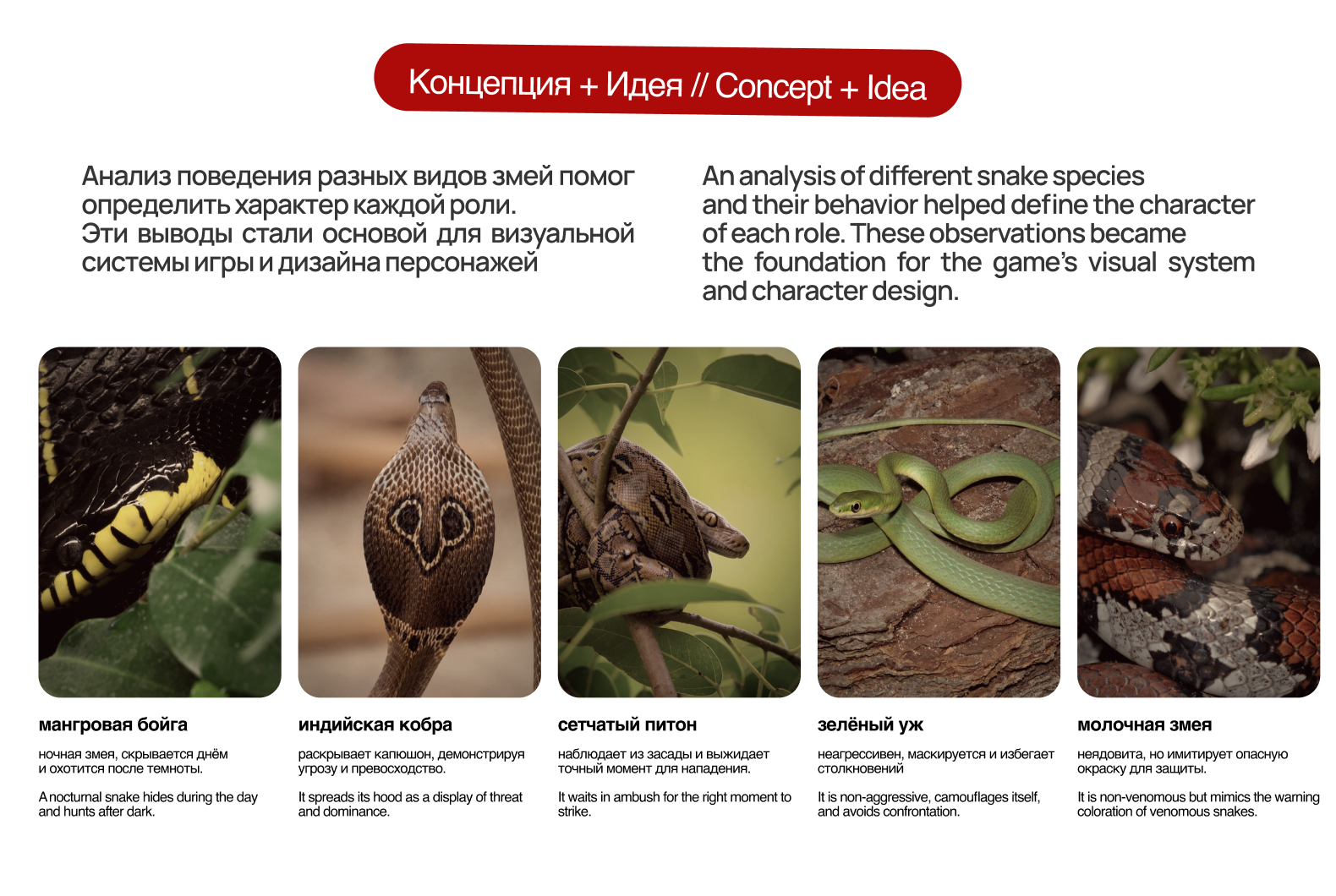 MAFIA — дизайн карточной игры и упаковки — Изображение №4 — Брендинг, Иллюстрация на Dprofile