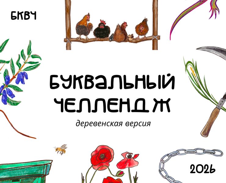 Буквальный челлендж | БКВЧ 2026 на Dprofile