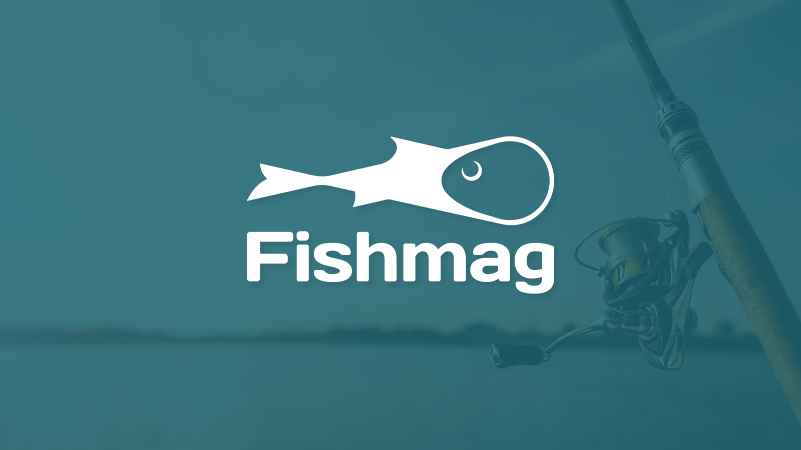 FISHMAG – рыболовный магазин — Изображение №1 — Брендинг на Dprofile