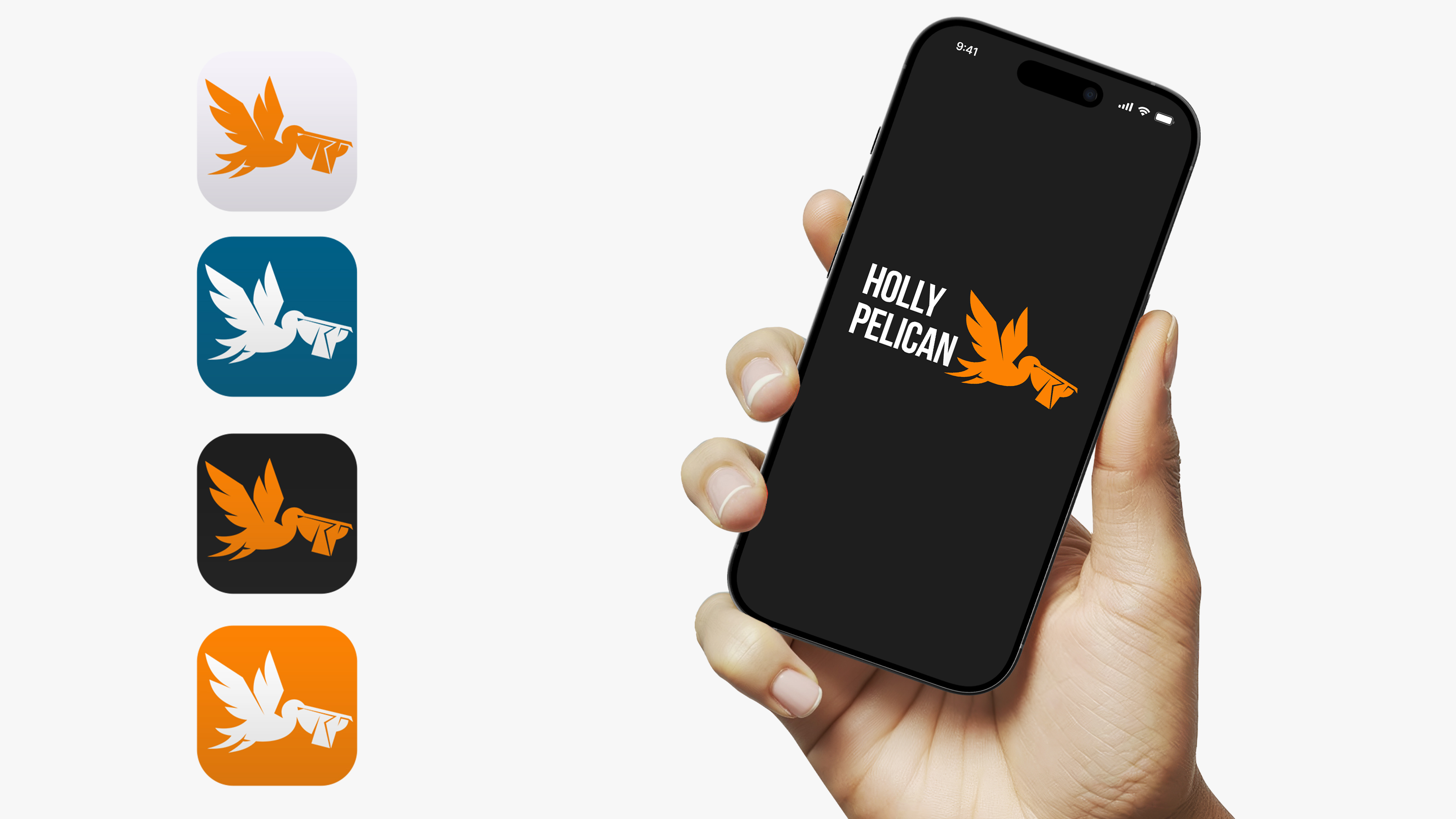 HOLLY PELICAN – экспресс-доставка грузов и документов — Изображение №10 — Брендинг на Dprofile