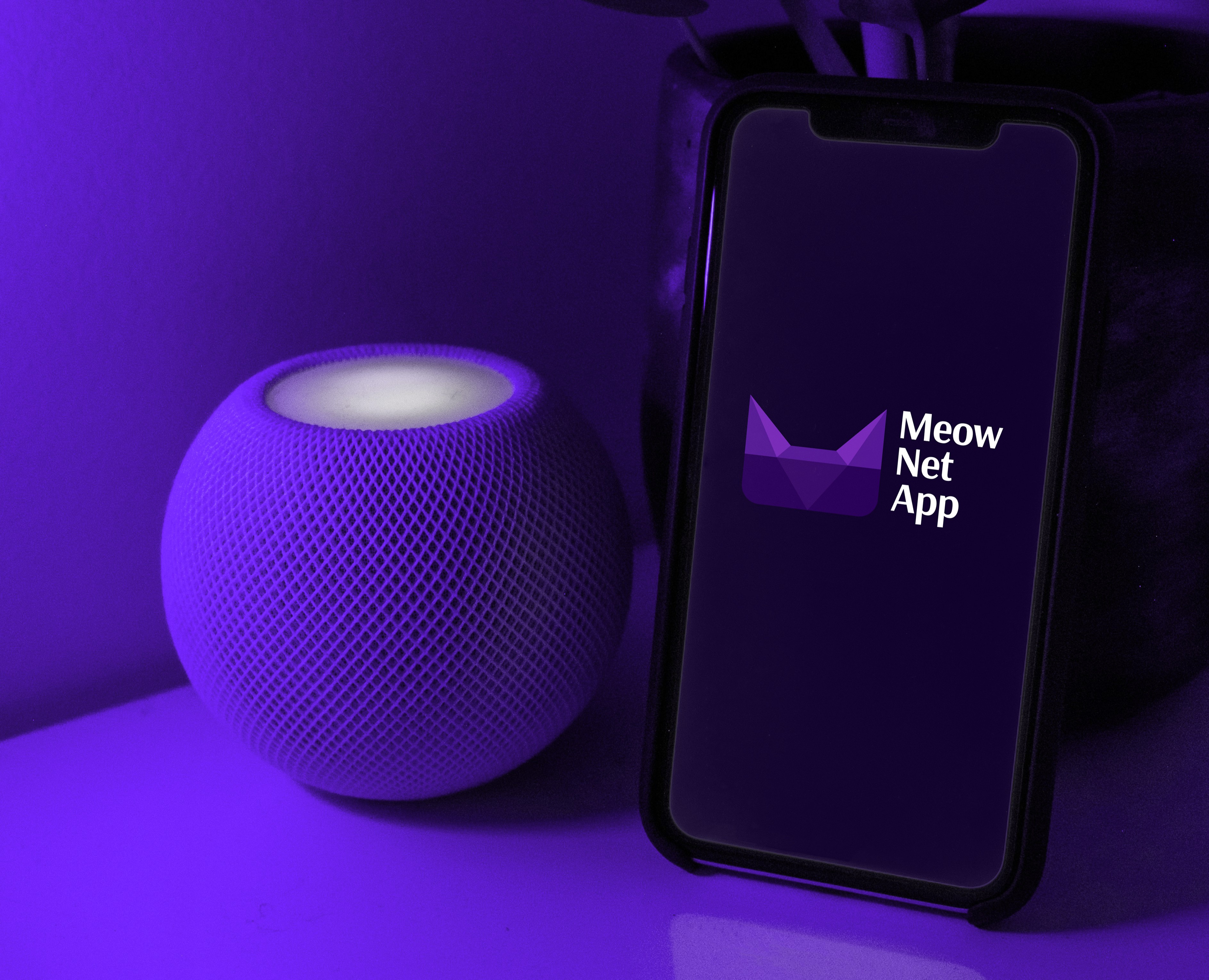 MeowNetApp – VPN-сервис на Dprofile