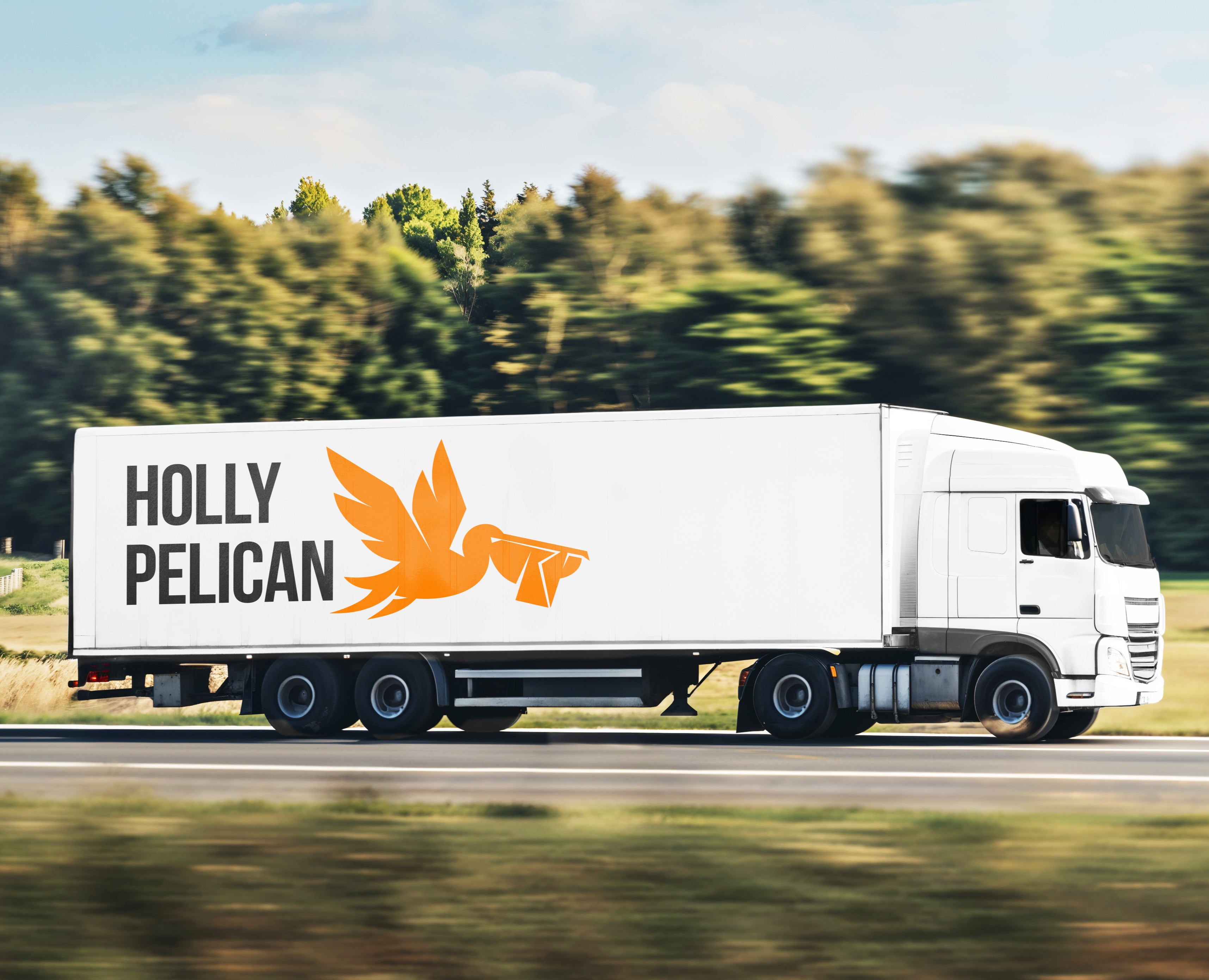 HOLLY PELICAN – экспресс-доставка грузов и документов — Брендинг на Dprofile