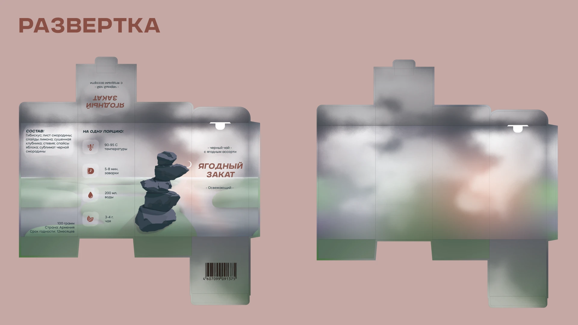 Разработка упаковки для ягодного чая — Изображение №7 — Интерфейсы, Брендинг на Dprofile