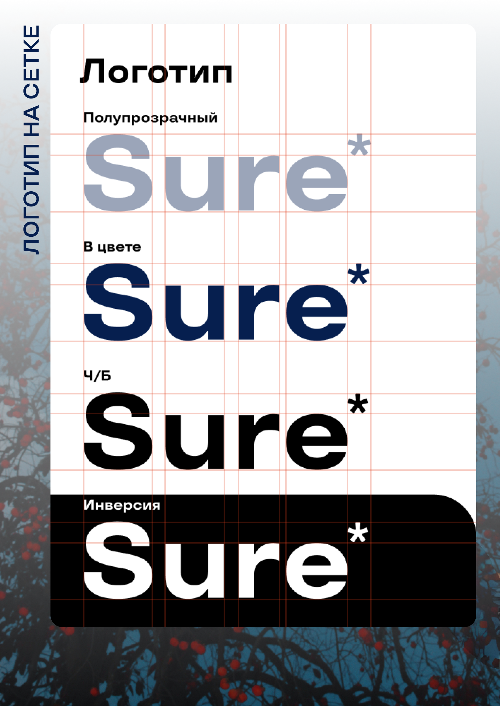 Верстка журнала Sure — Изображение №4 — Графика на Dprofile