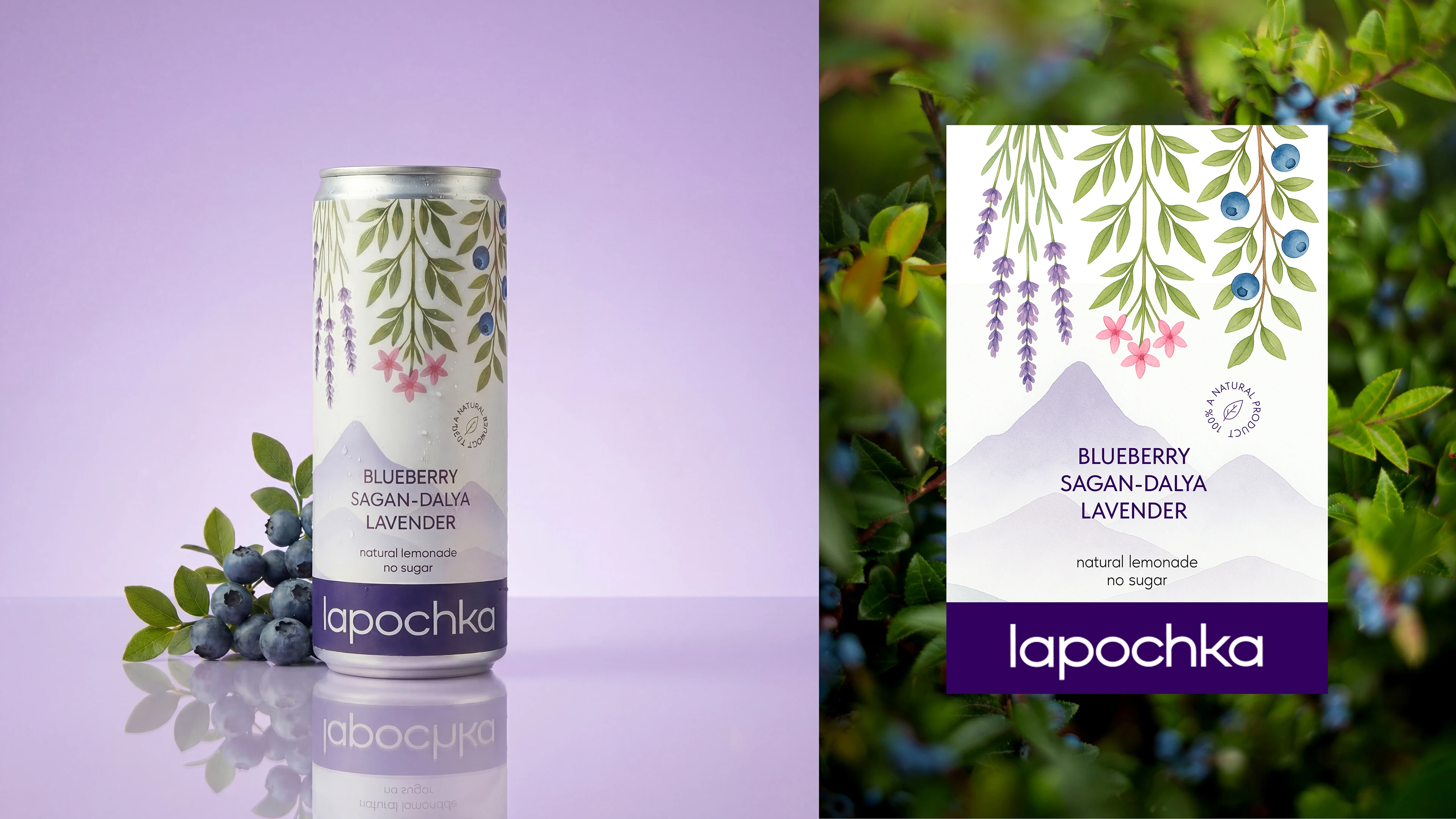 Lapochka Lemonade — Изображение №3 — Брендинг, Графика на Dprofile