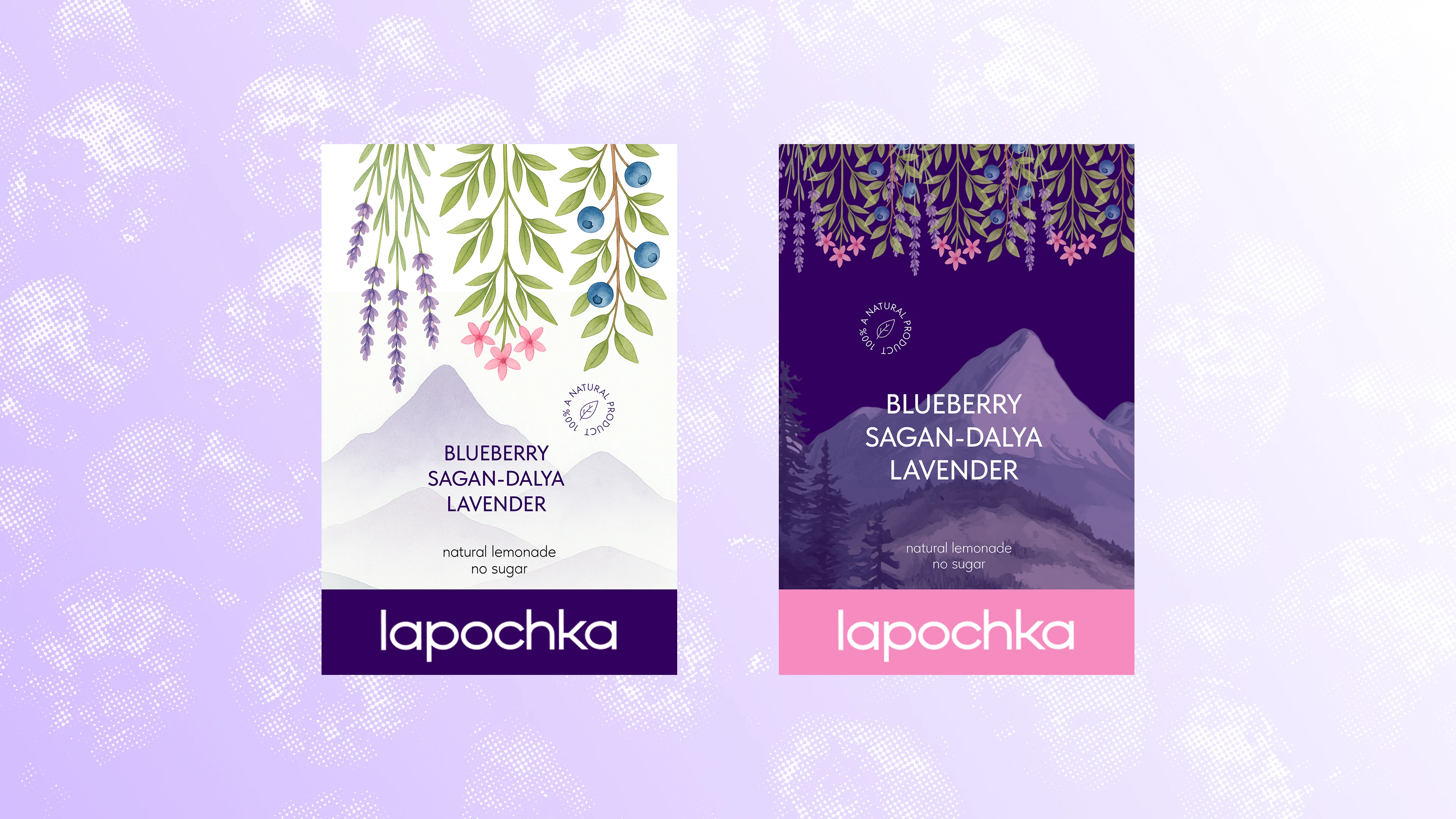 Lapochka Lemonade — Изображение №7 — Брендинг, Графика на Dprofile