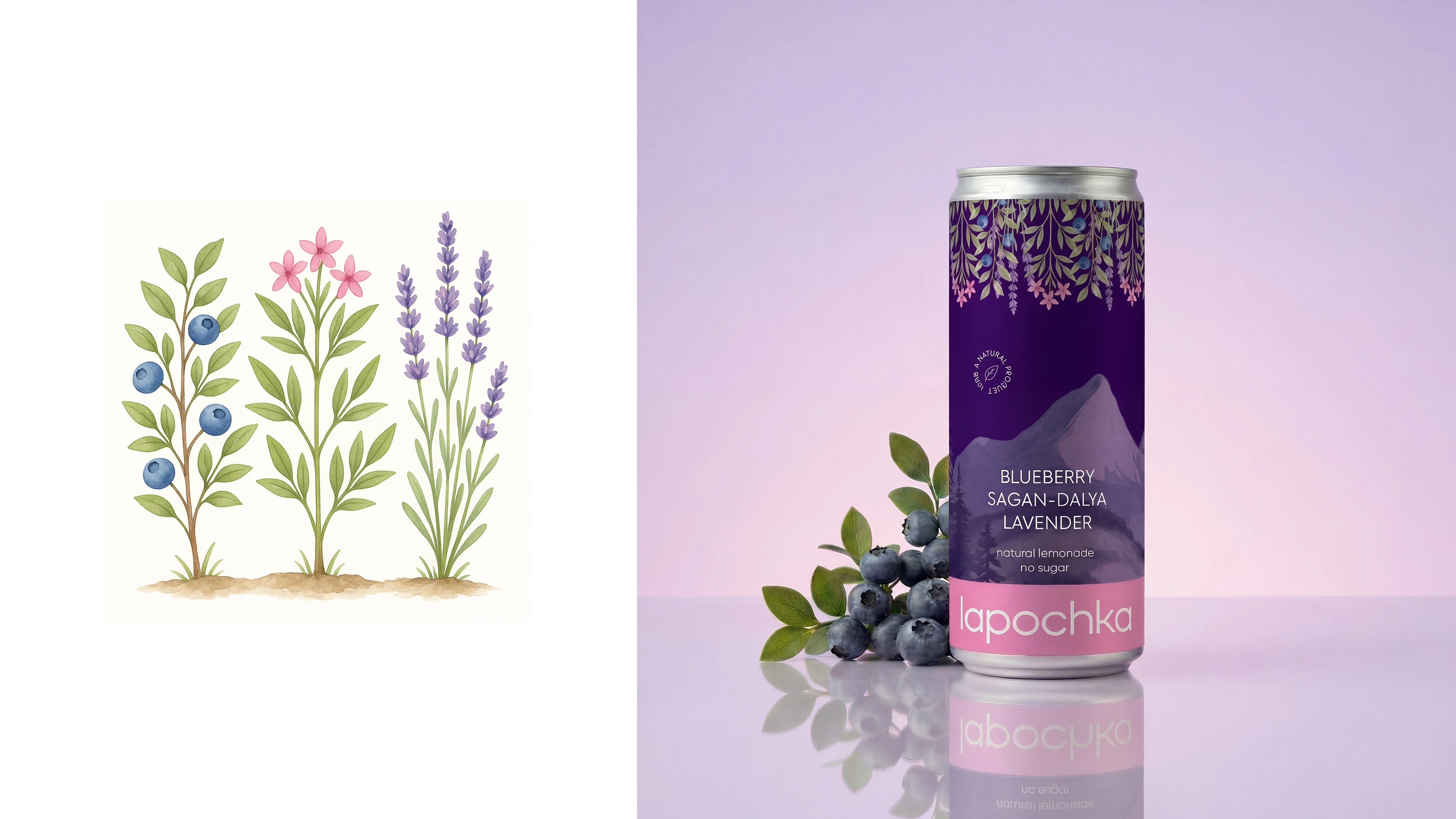 Lapochka Lemonade — Изображение №6 — Брендинг, Графика на Dprofile