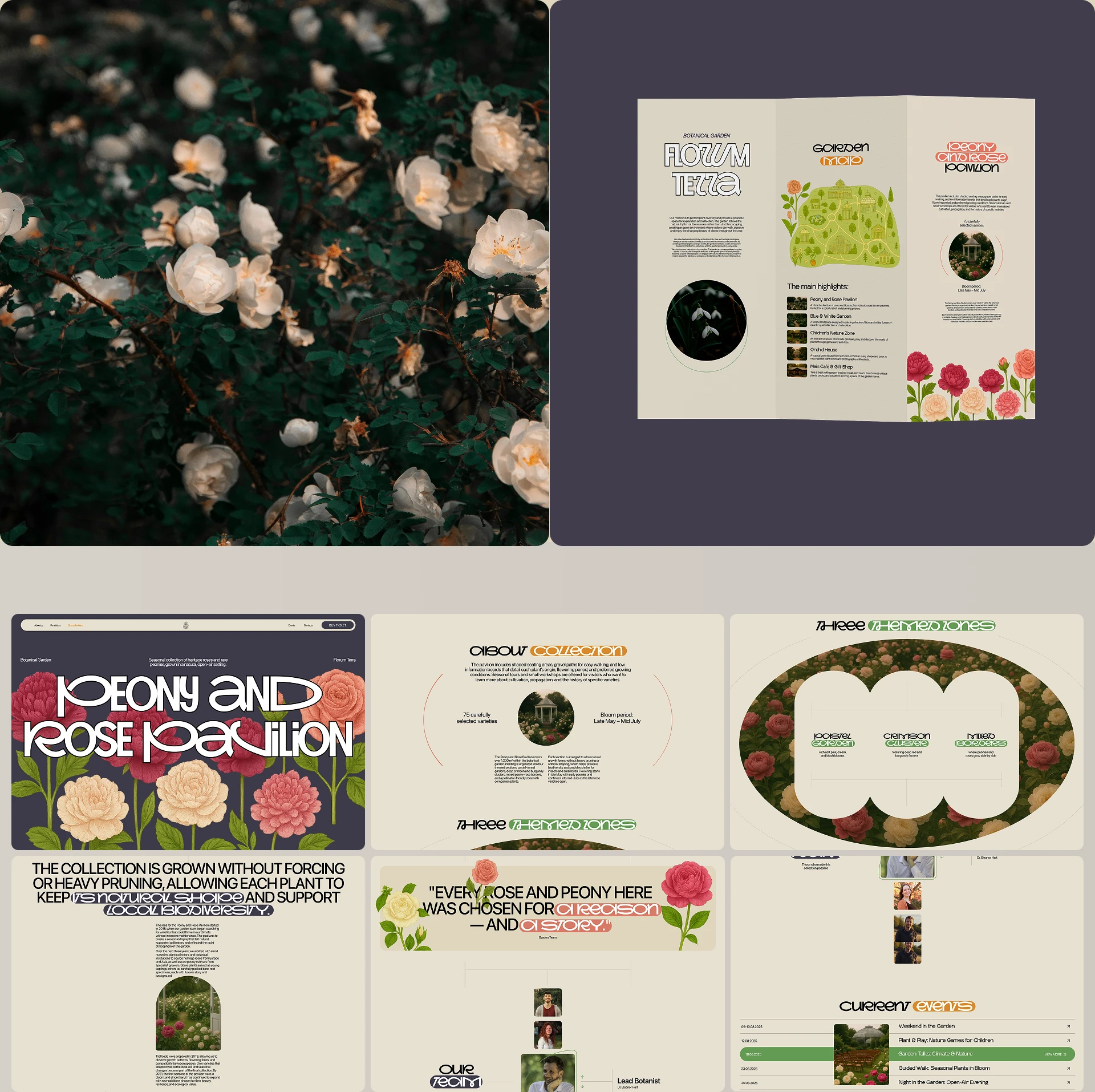 Botanical Garden | Corporate Website — Изображение №6 — Интерфейсы, Брендинг на Dprofile