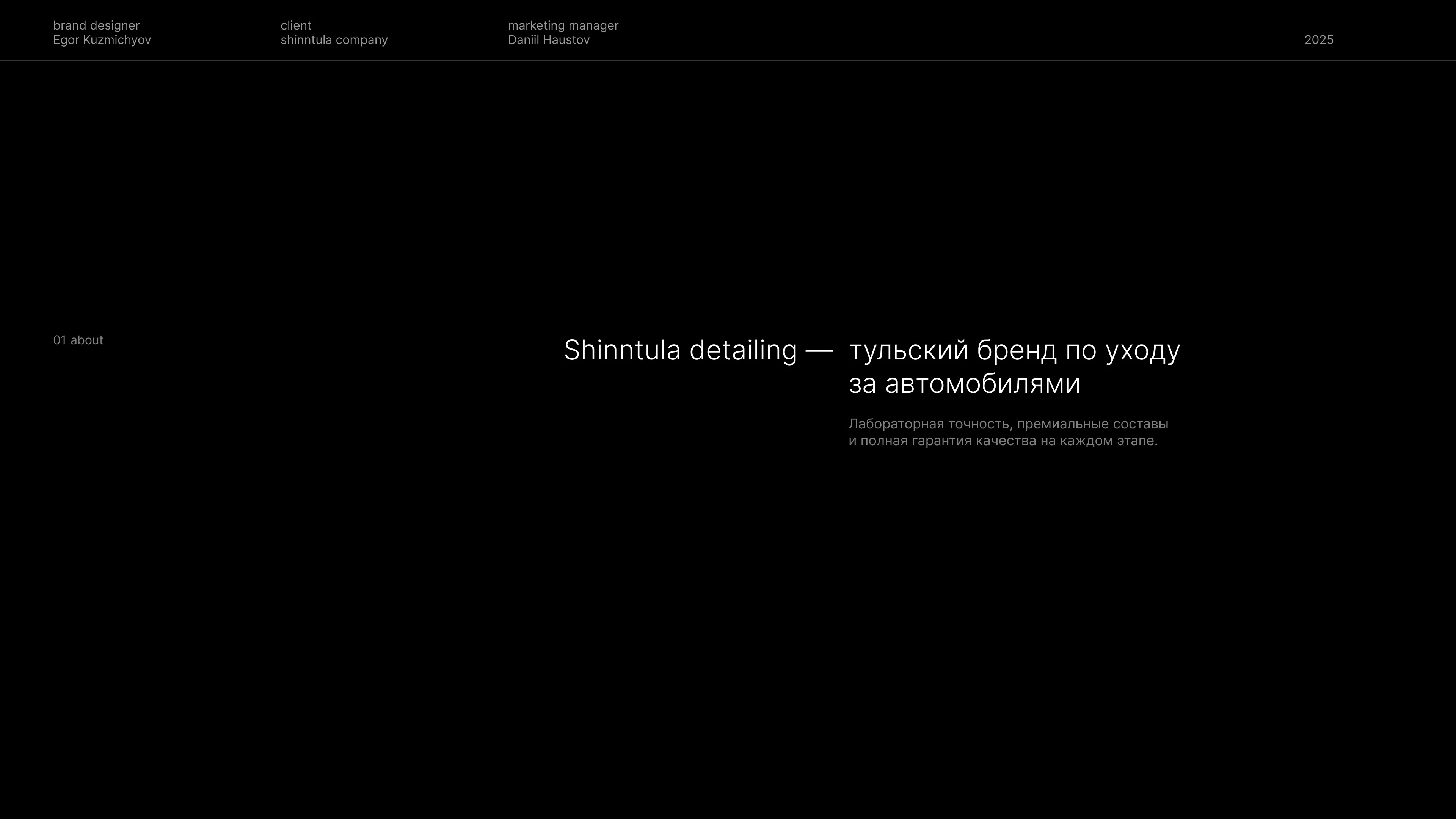SHINNTULA. Детейлинг центр. Логотип/фирменный стиль — Изображение №2 — Брендинг на Dprofile