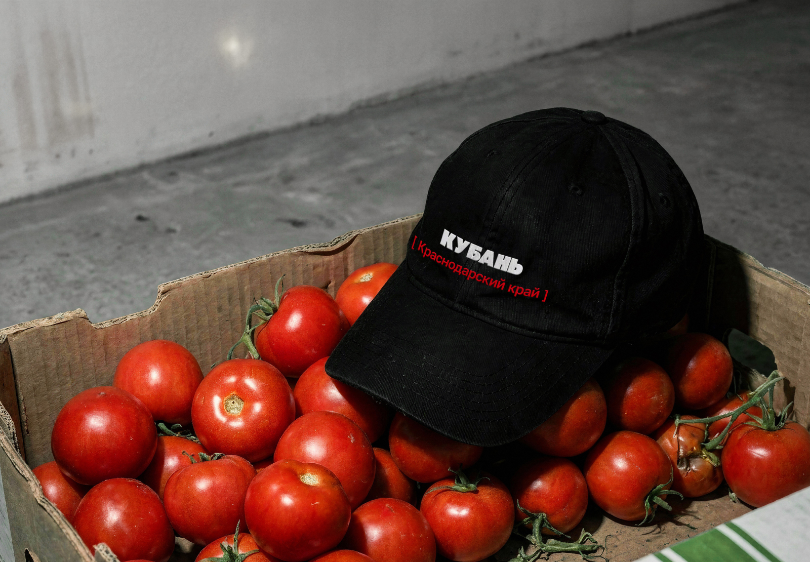 Культурный мерч Кубани — Изображение №4 — Брендинг, Графика на Dprofile