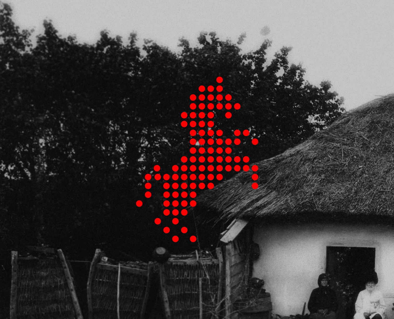 Культурный мерч Кубани на Dprofile