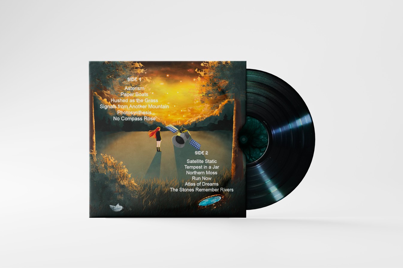 Дизайн обложки альбома — Изображение №4 — Брендинг, Иллюстрация на Dprofile