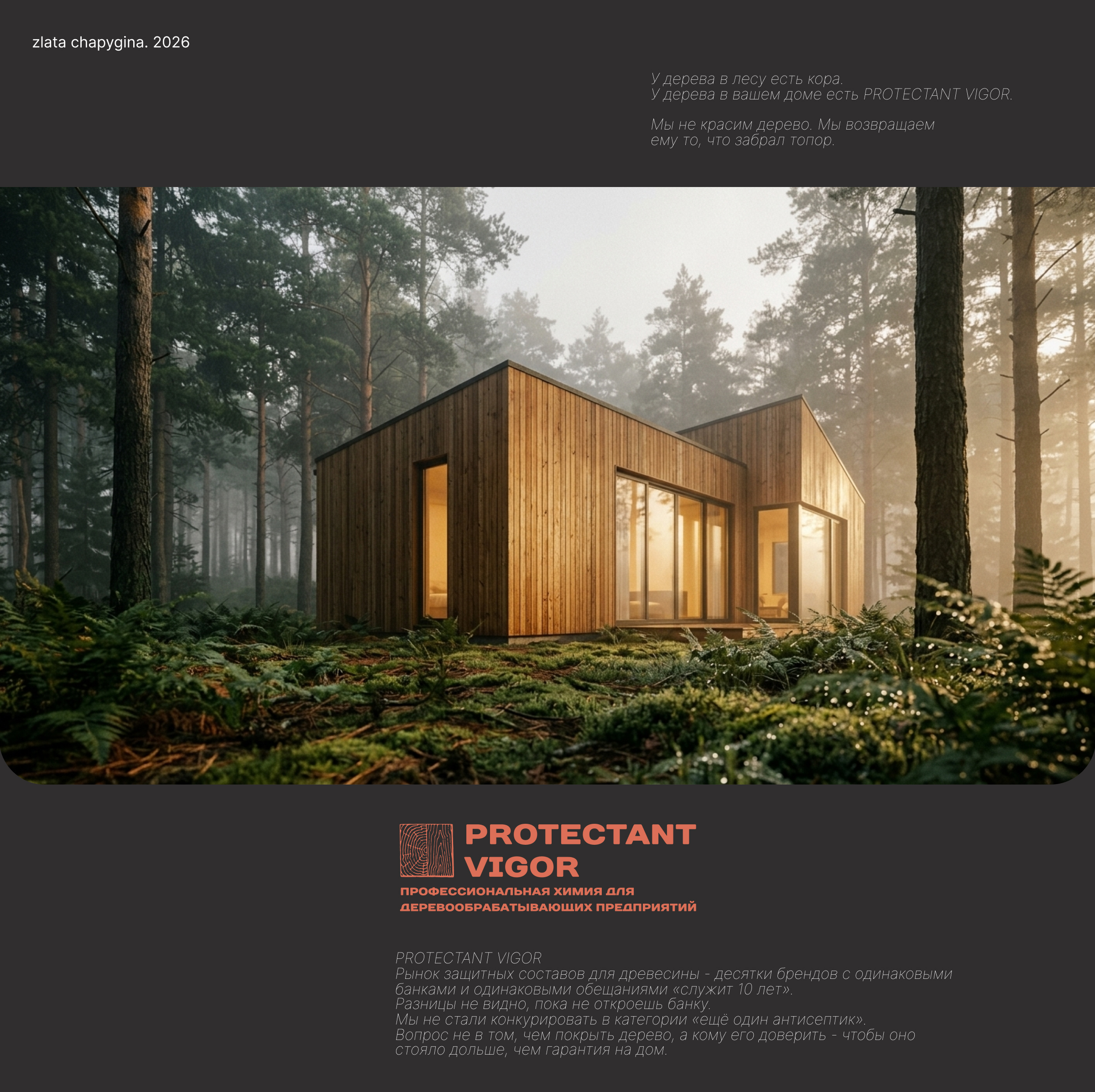 PROTECTANT VIGOR — Изображение №1 — Интерфейсы на Dprofile