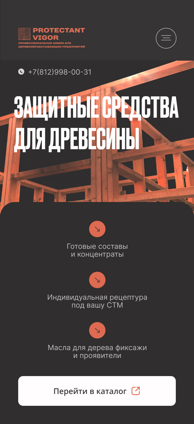 PROTECTANT VIGOR — Изображение №6 — Интерфейсы на Dprofile