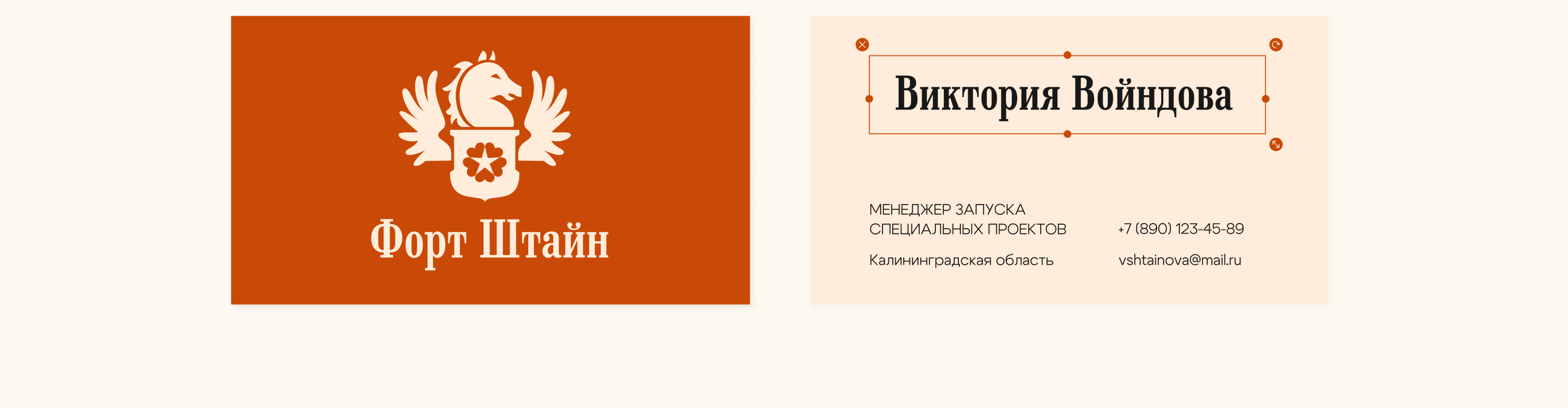 Форт №1 Штайн — Изображение №10 — Брендинг на Dprofile