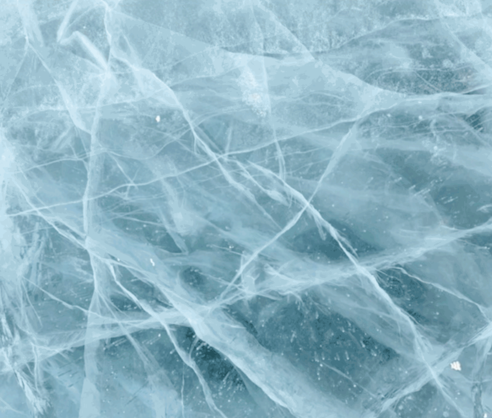 айдентика катка Парк Горького/identity — Изображение №9 — Брендинг на Dprofile